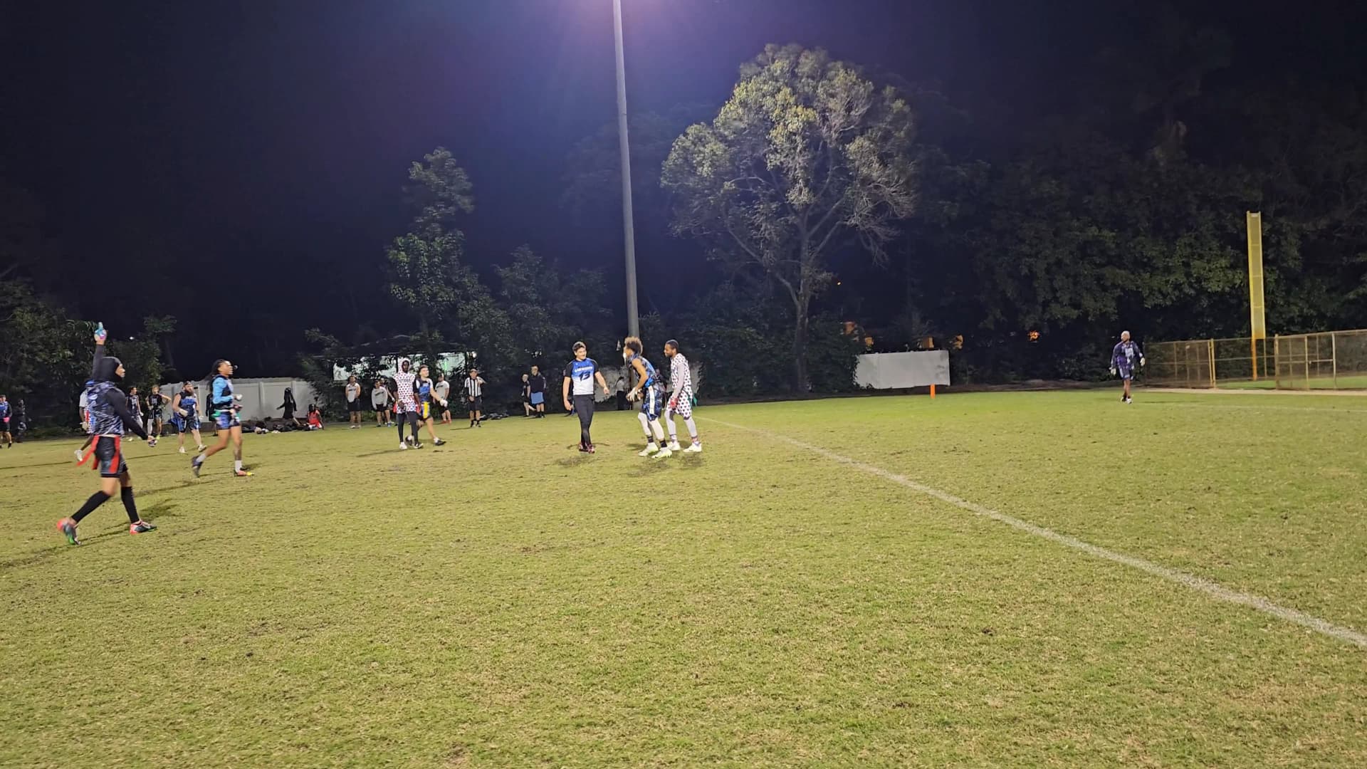 Blue Venom Touchdown throw highlight video