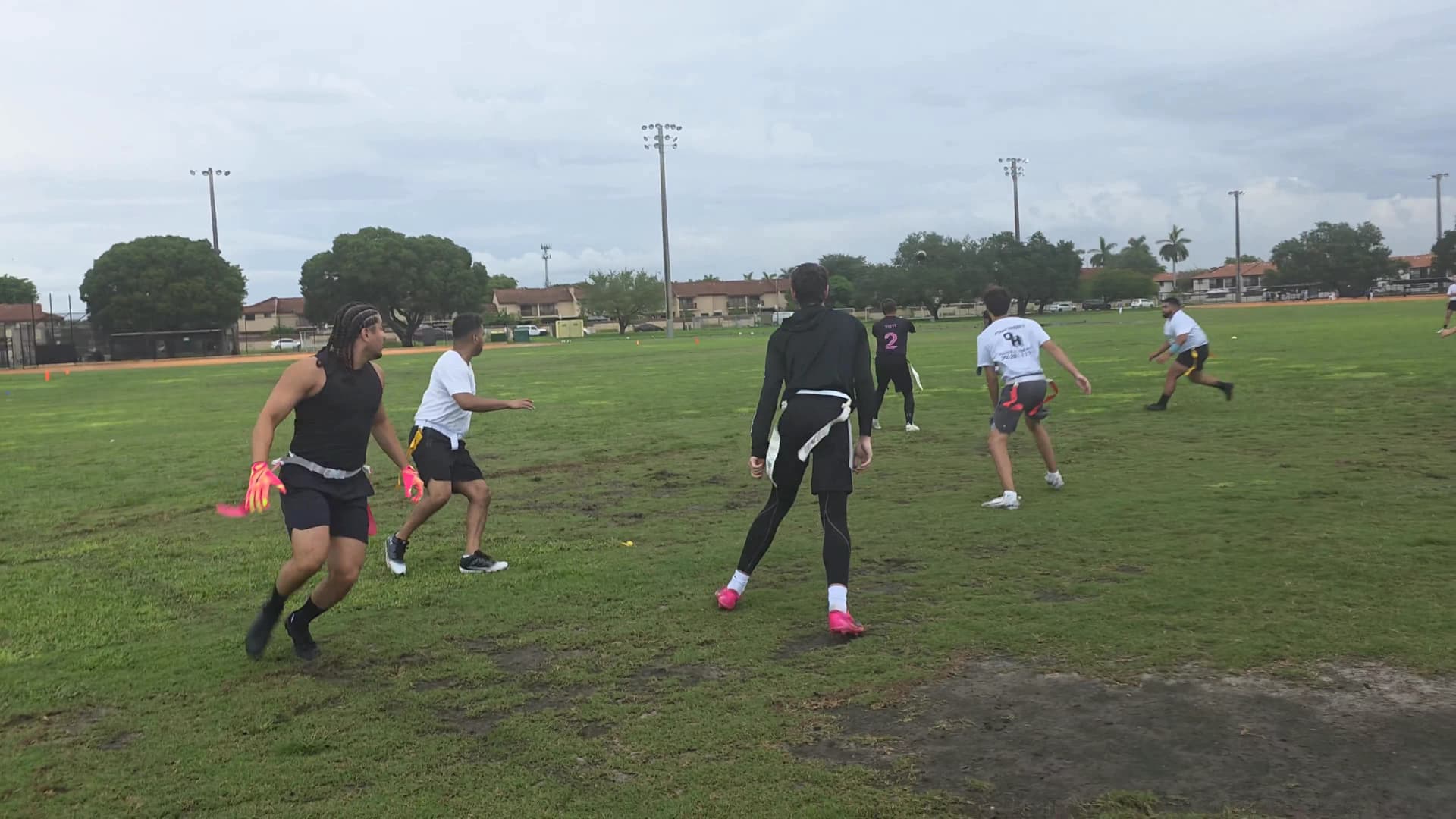 Pink Panthers Touchdown throw highlight video