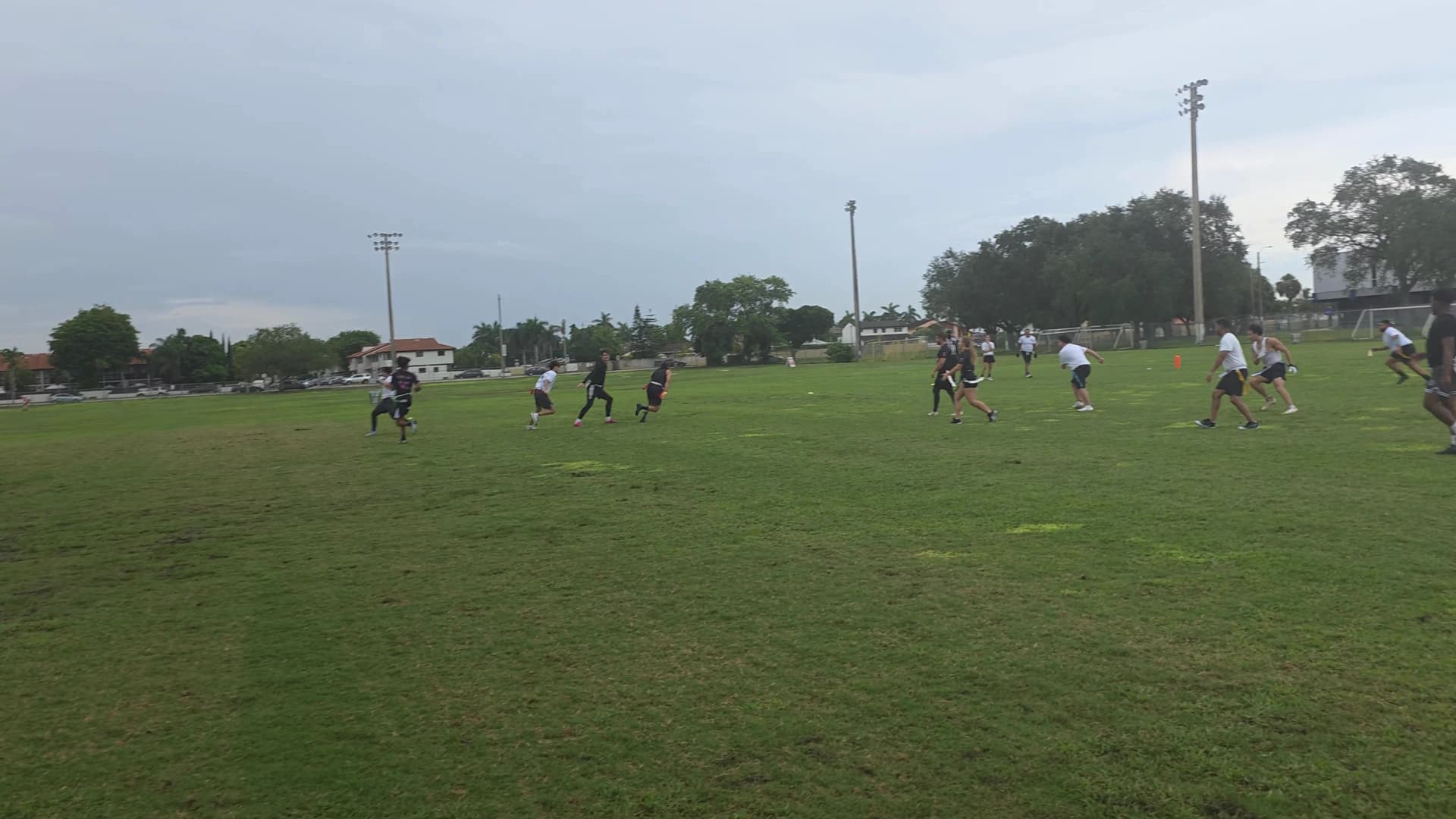 Pink Panthers Interception highlight video