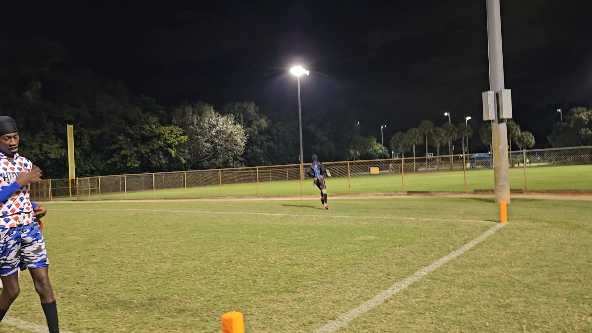 Blue Venom Touchdown throw highlight video