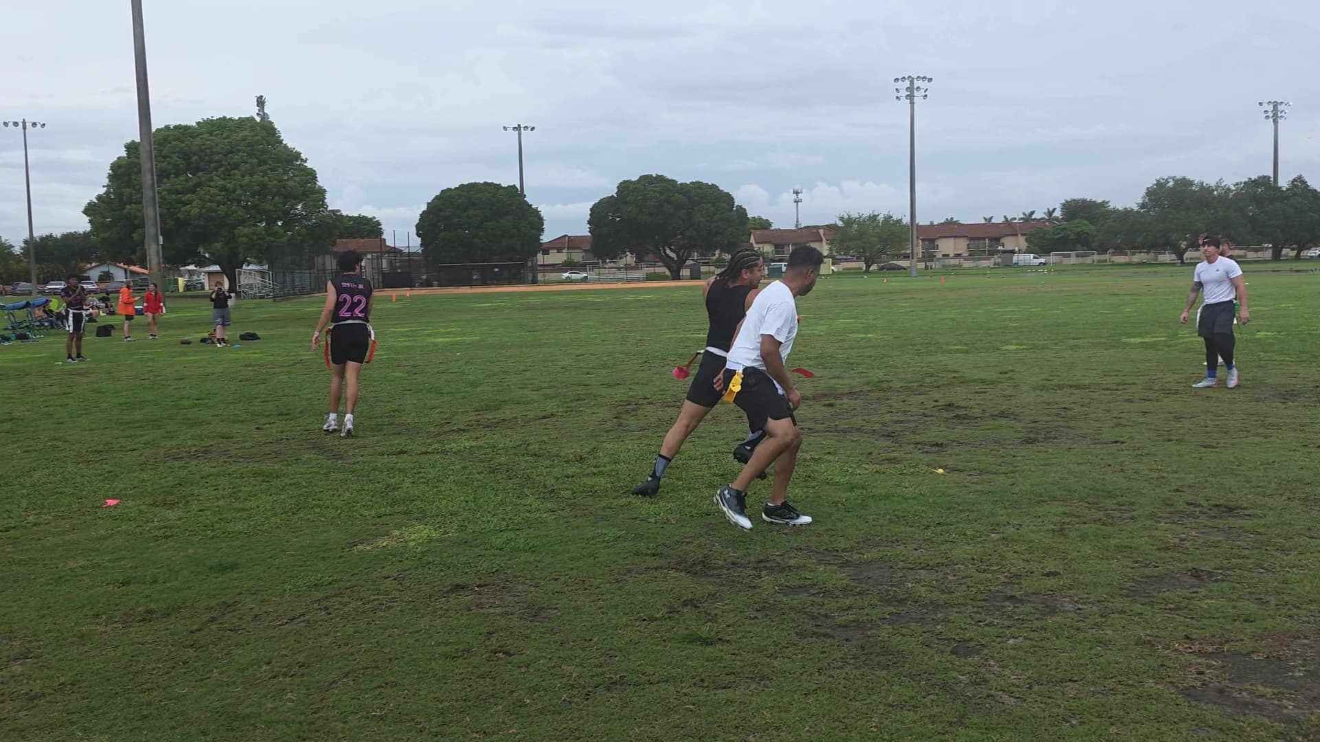 Pink Panthers Touchdown throw highlight video