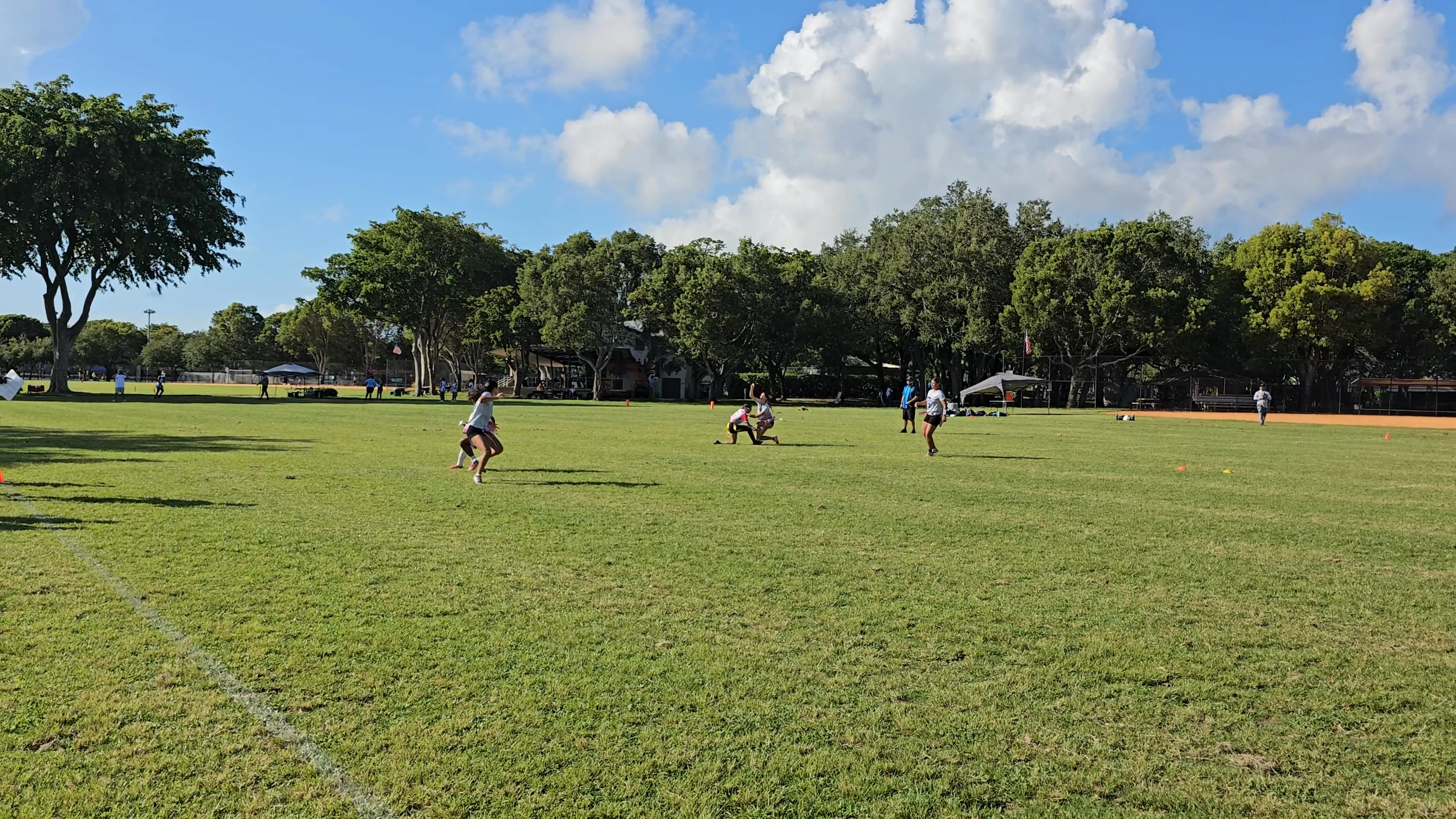 Penny Loafers Incomplete pass
