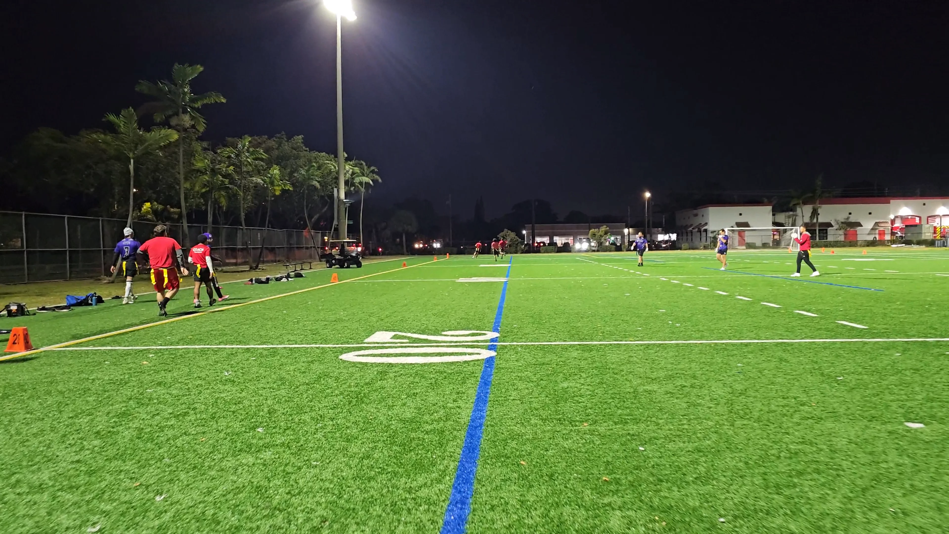 Salamanders Pick six