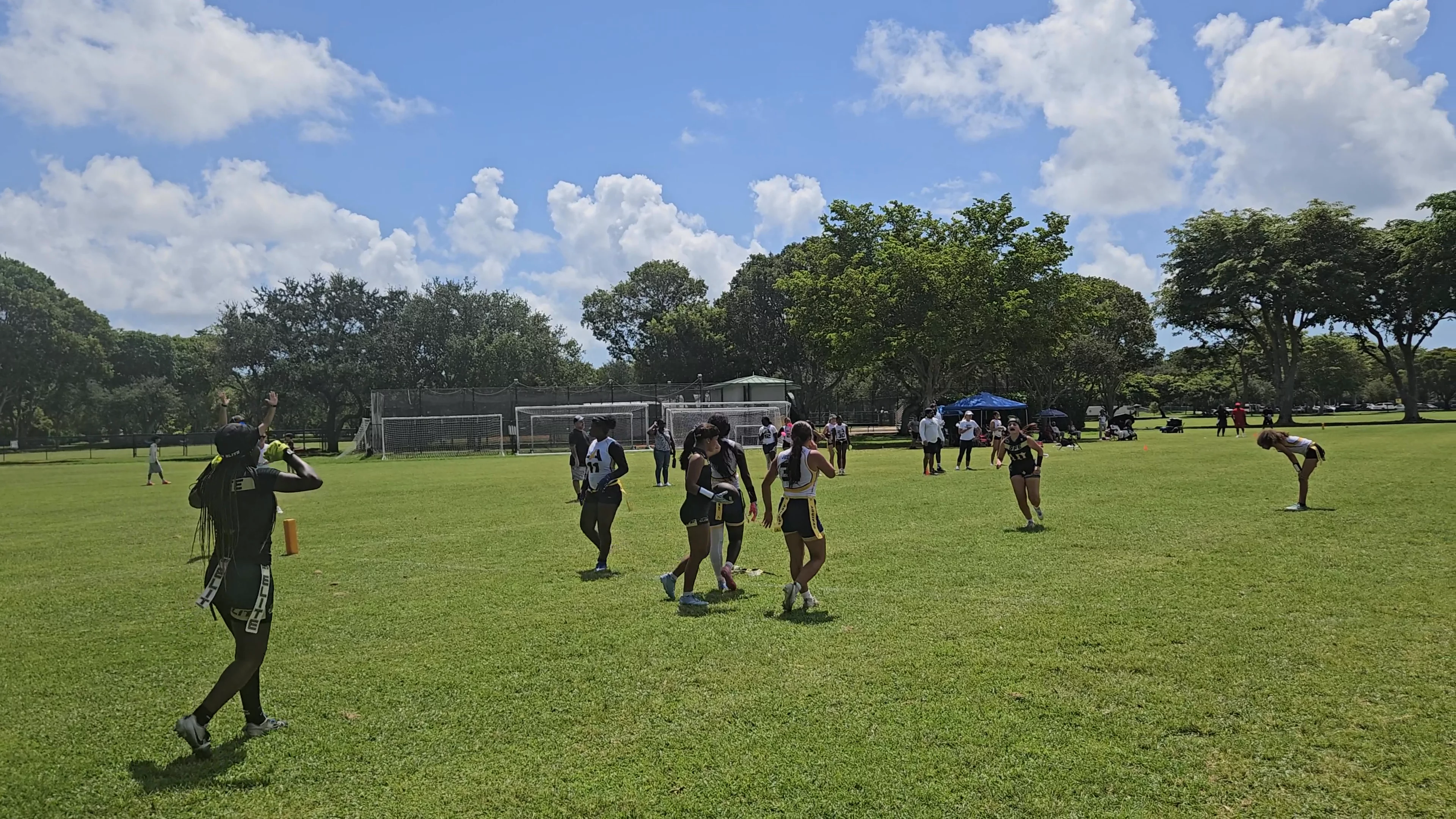 SFE Touchdown throw