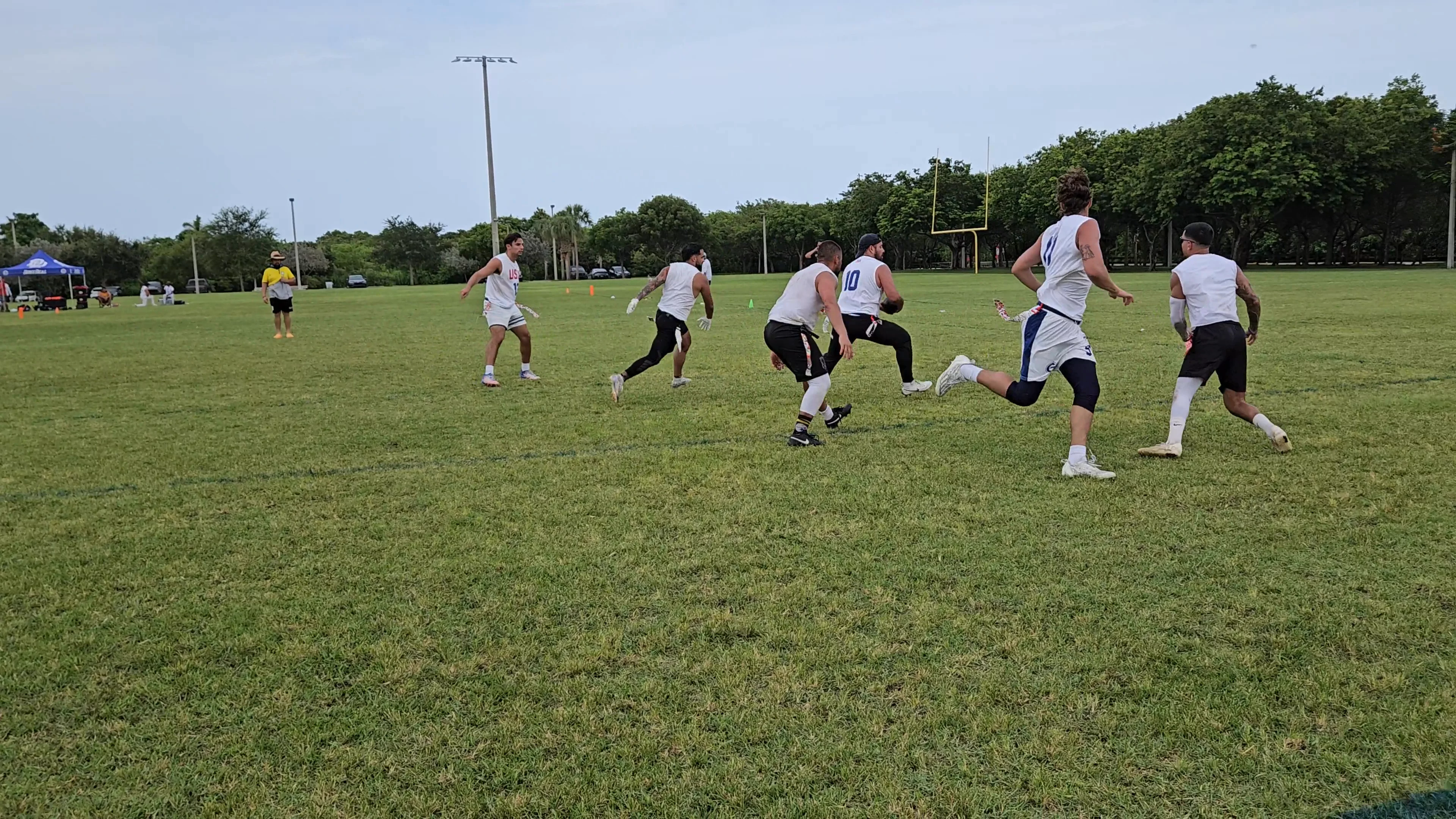 USA Touchdown throw