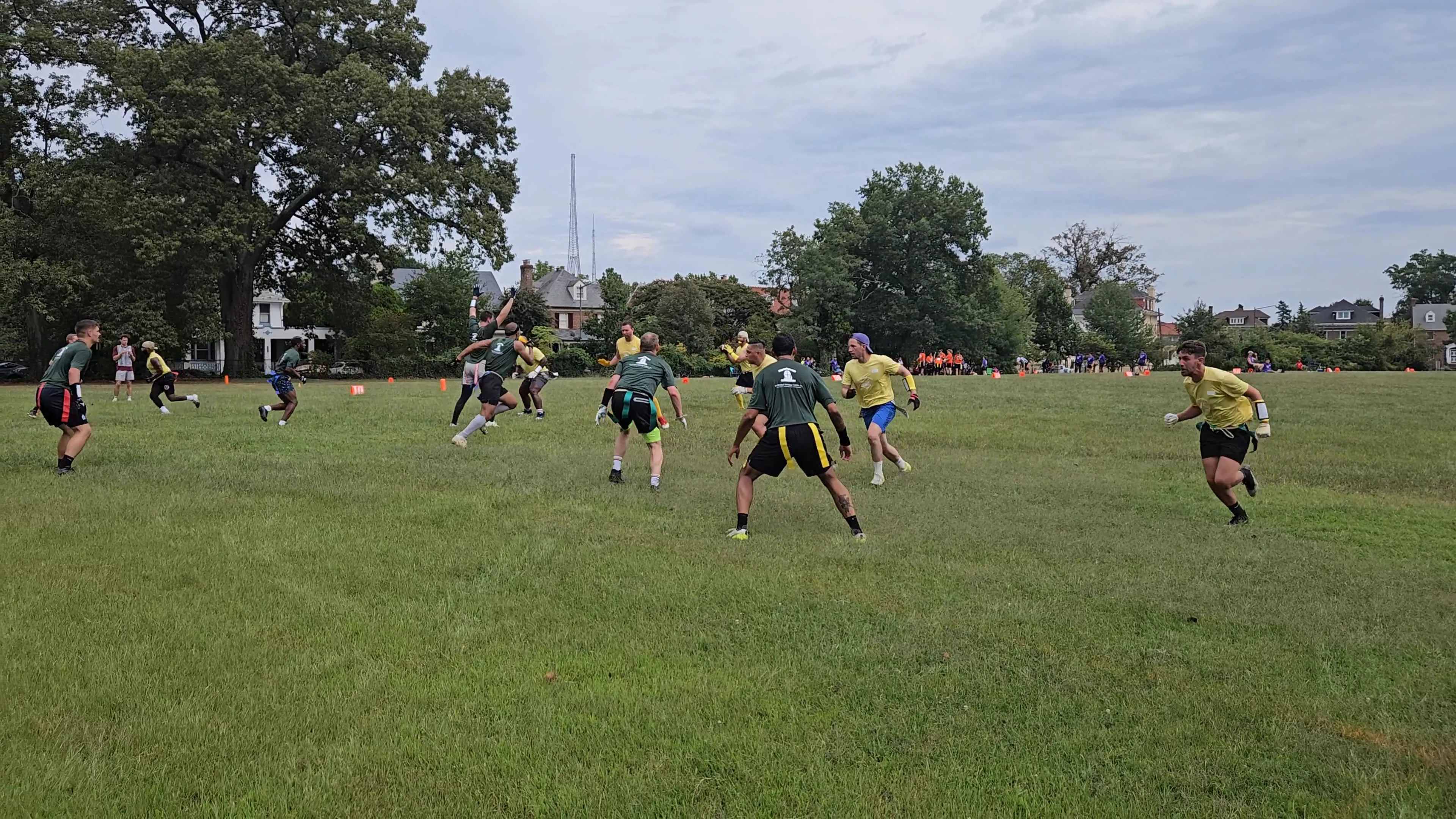 Tree Tops Interception