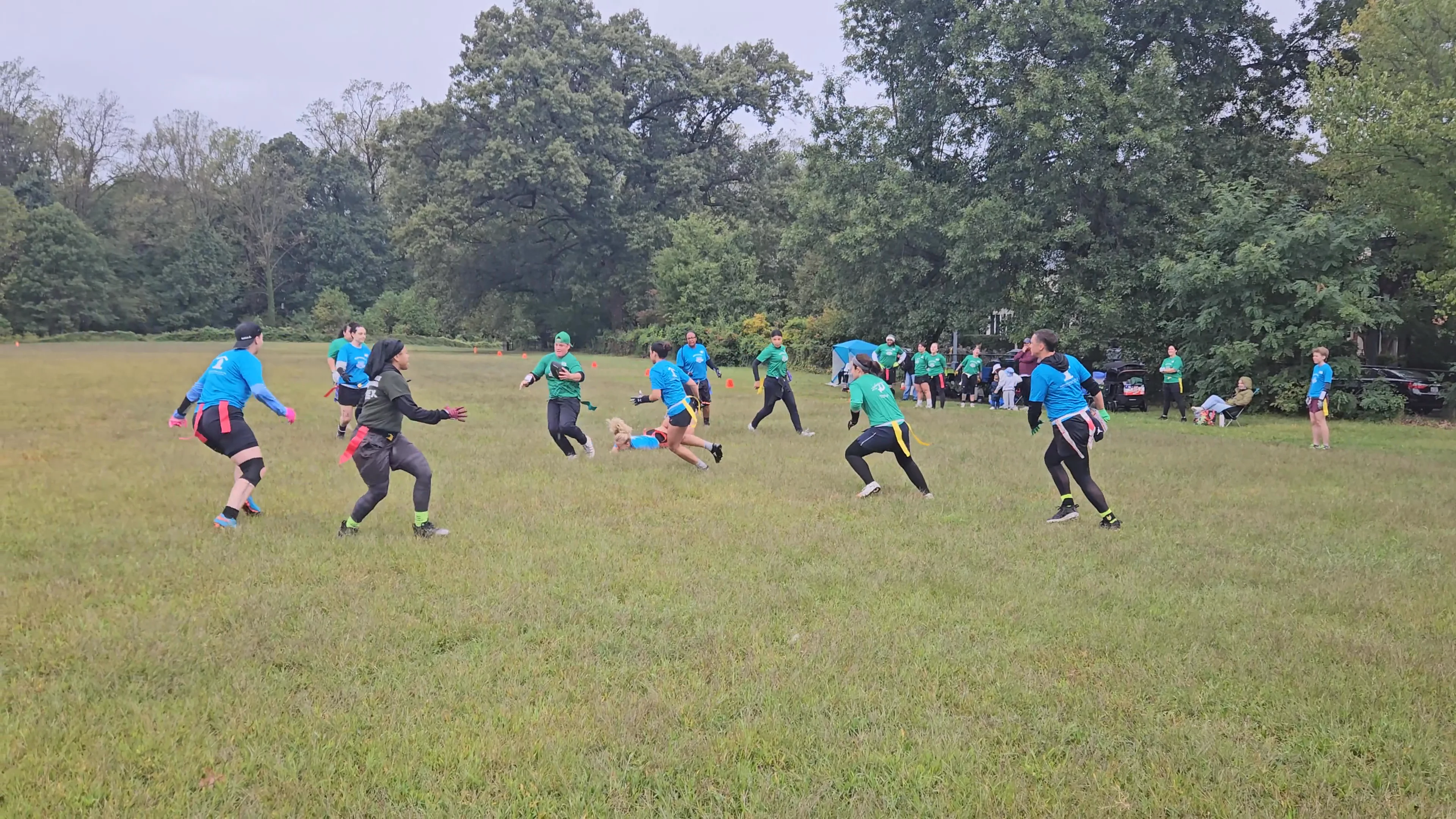 Full Bush Touchdown run