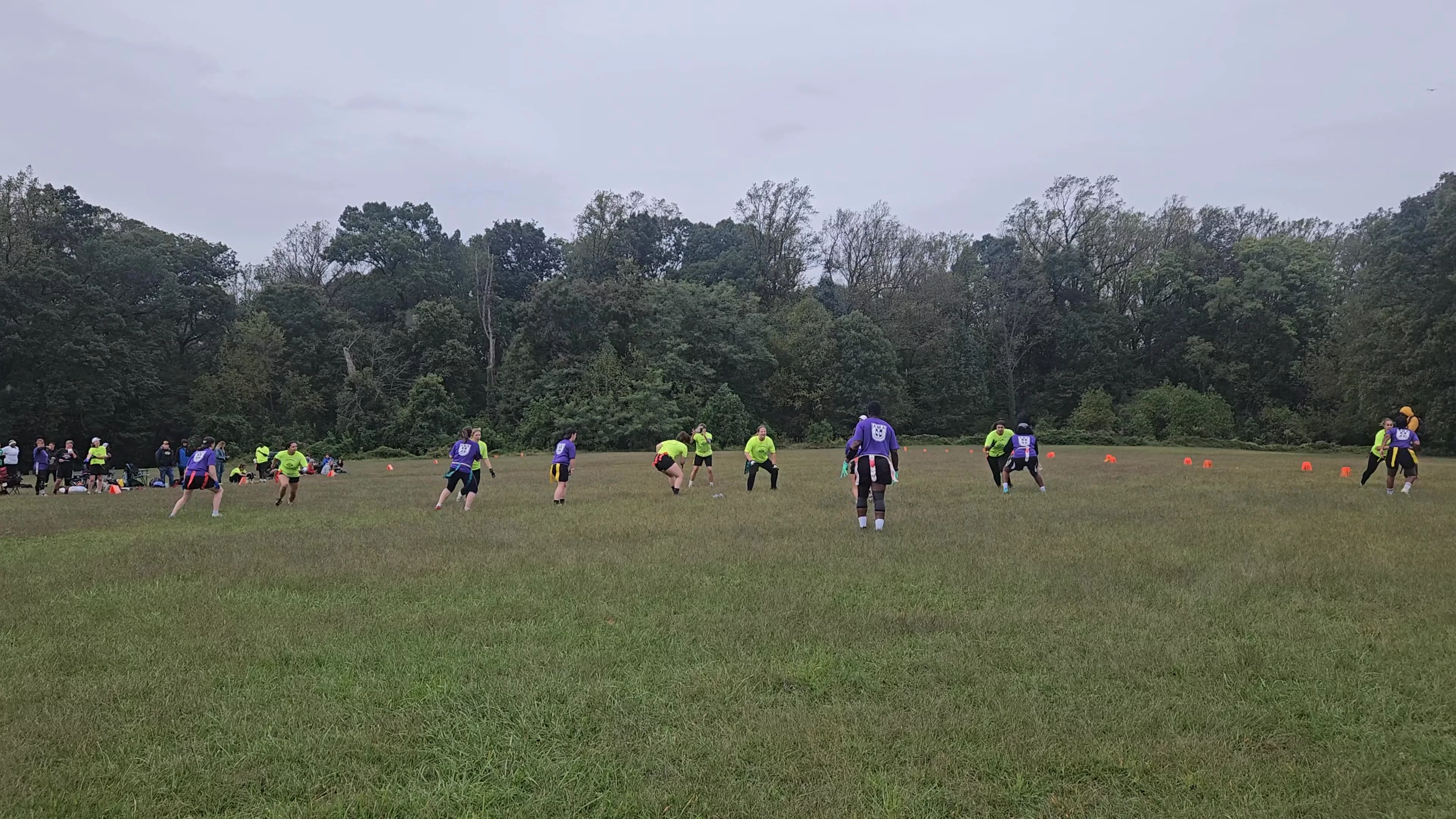 OSHA's 11 Run