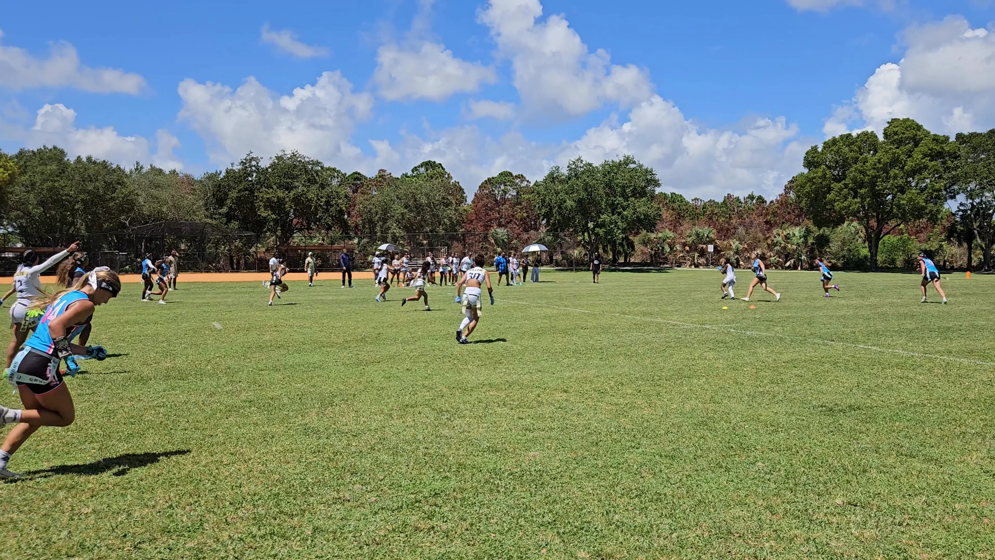 SFE Interception