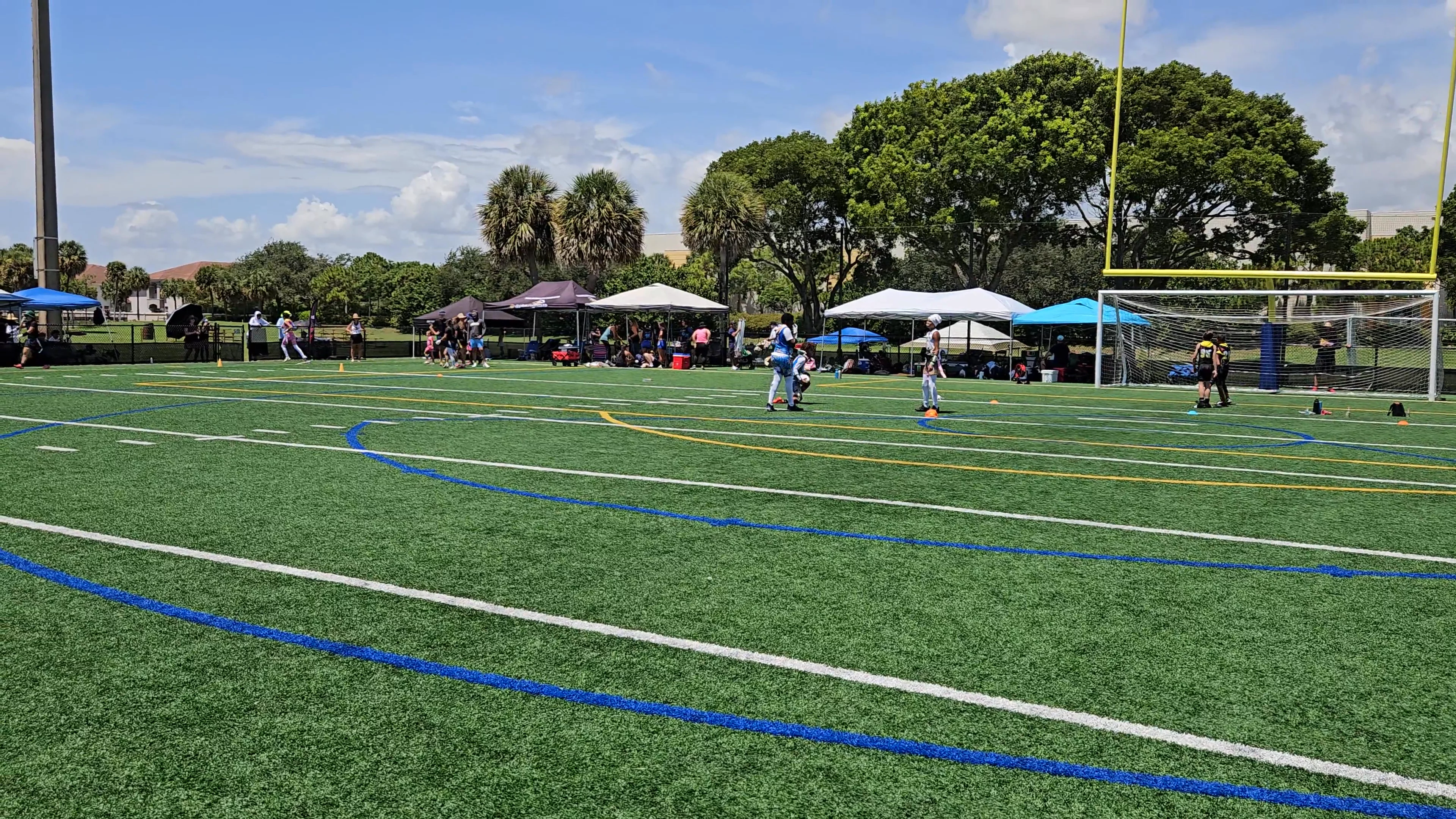MIA Flag 12u Interception