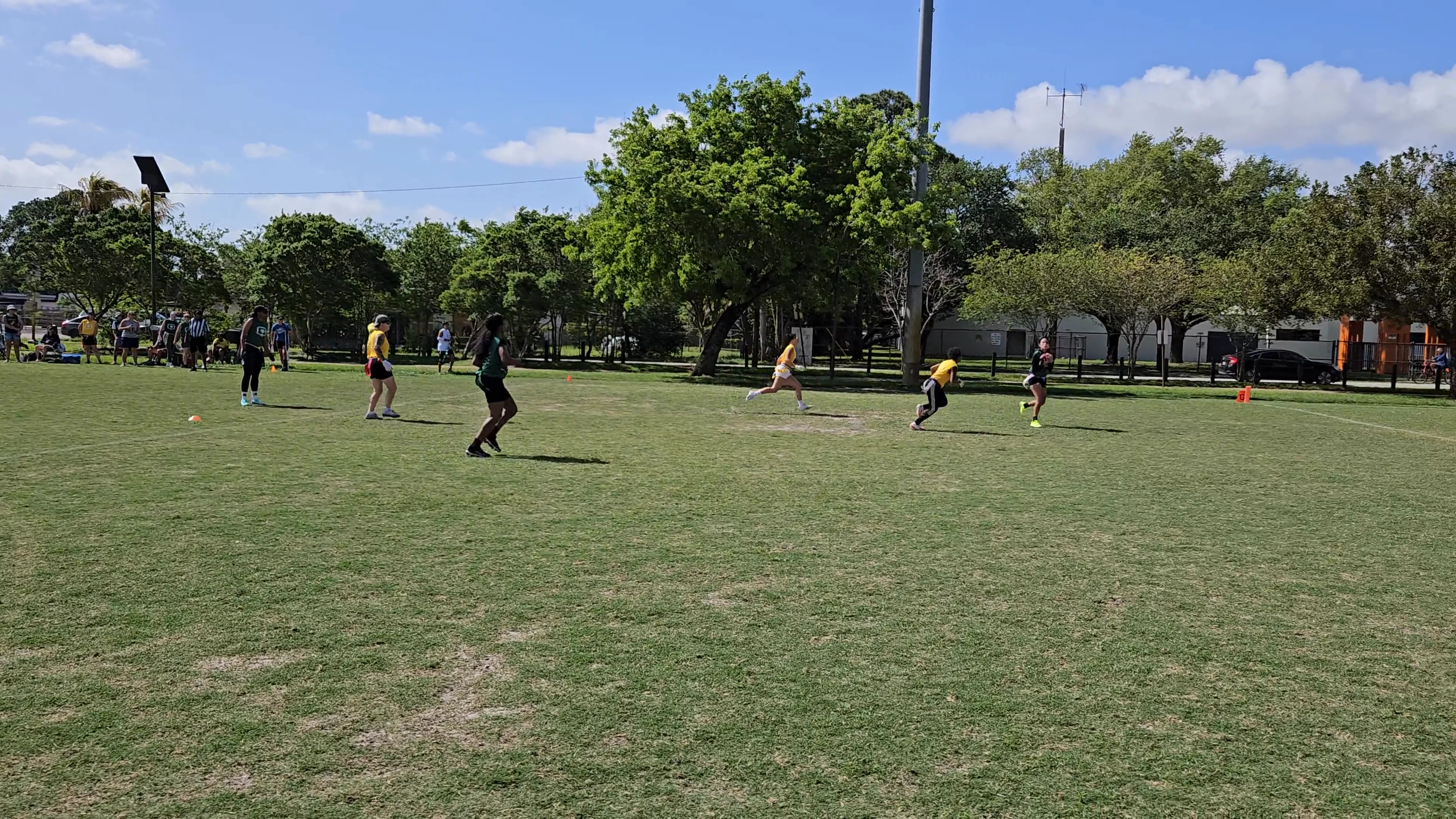 CommandHoes Touchdown throw