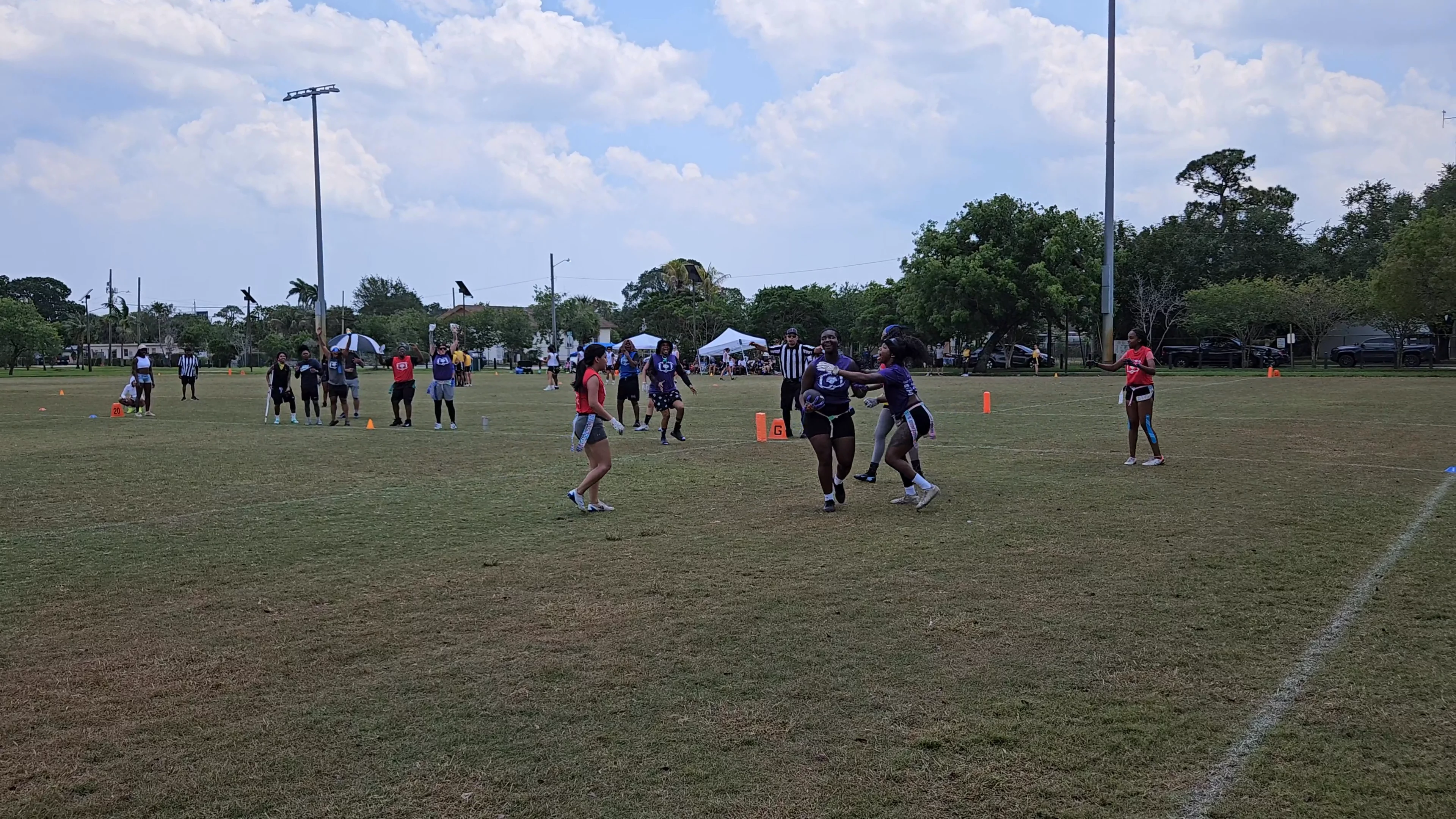 Purple Reign Touchdown throw