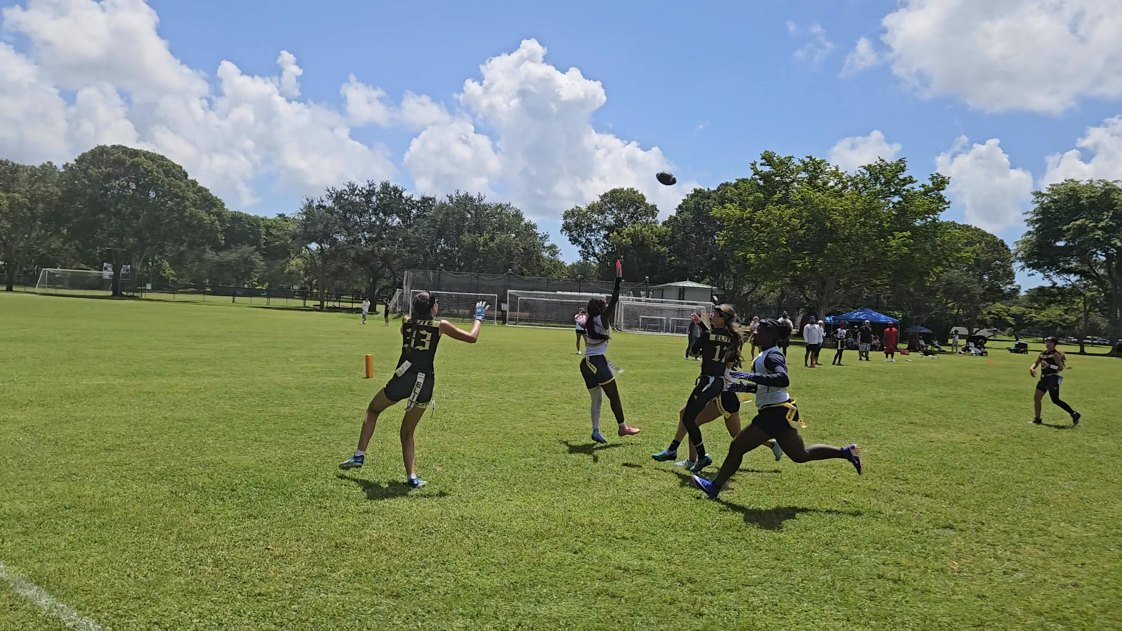 SFE Touchdown throw