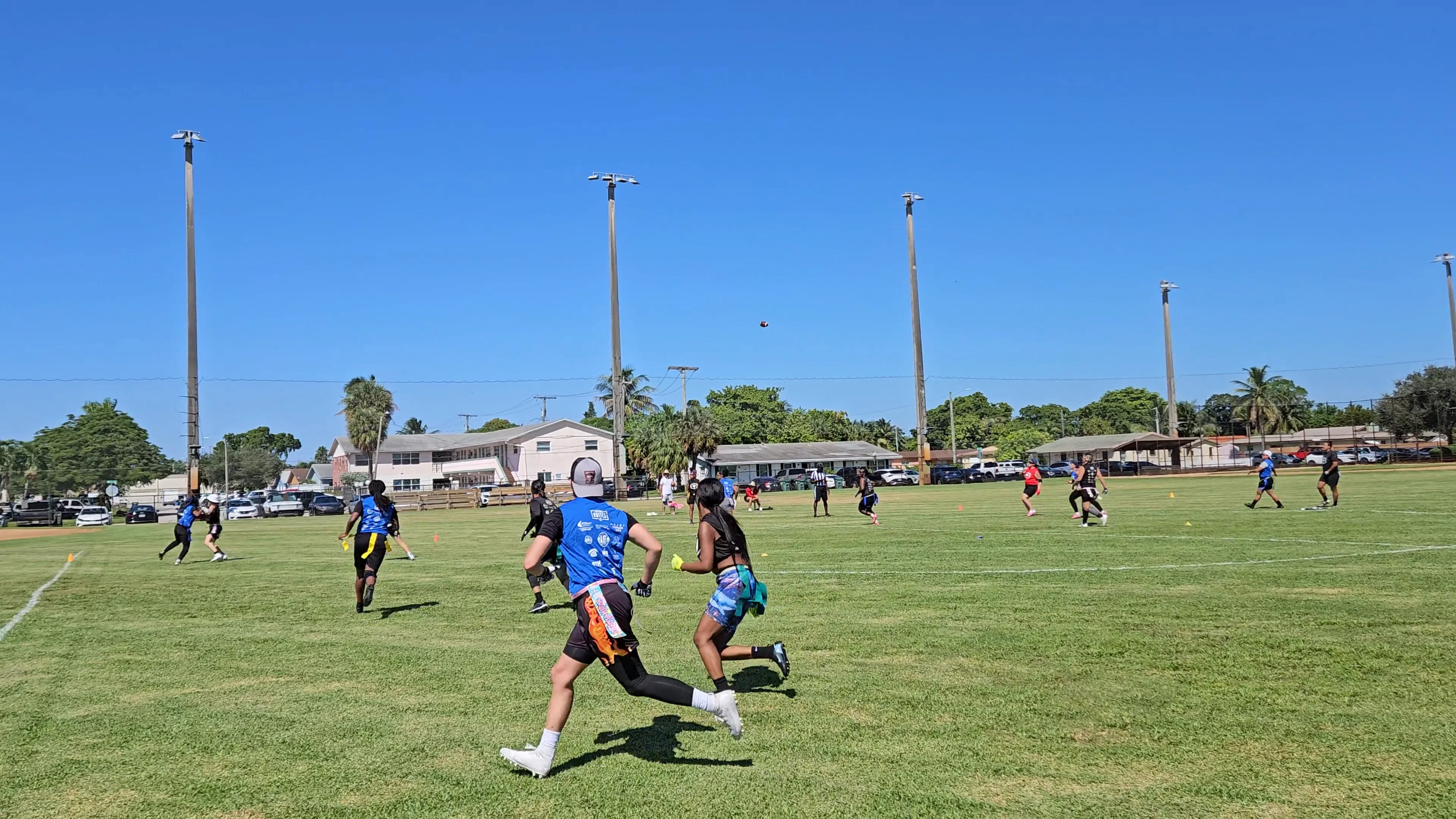 Royal Blue Gays Throw for 1st down