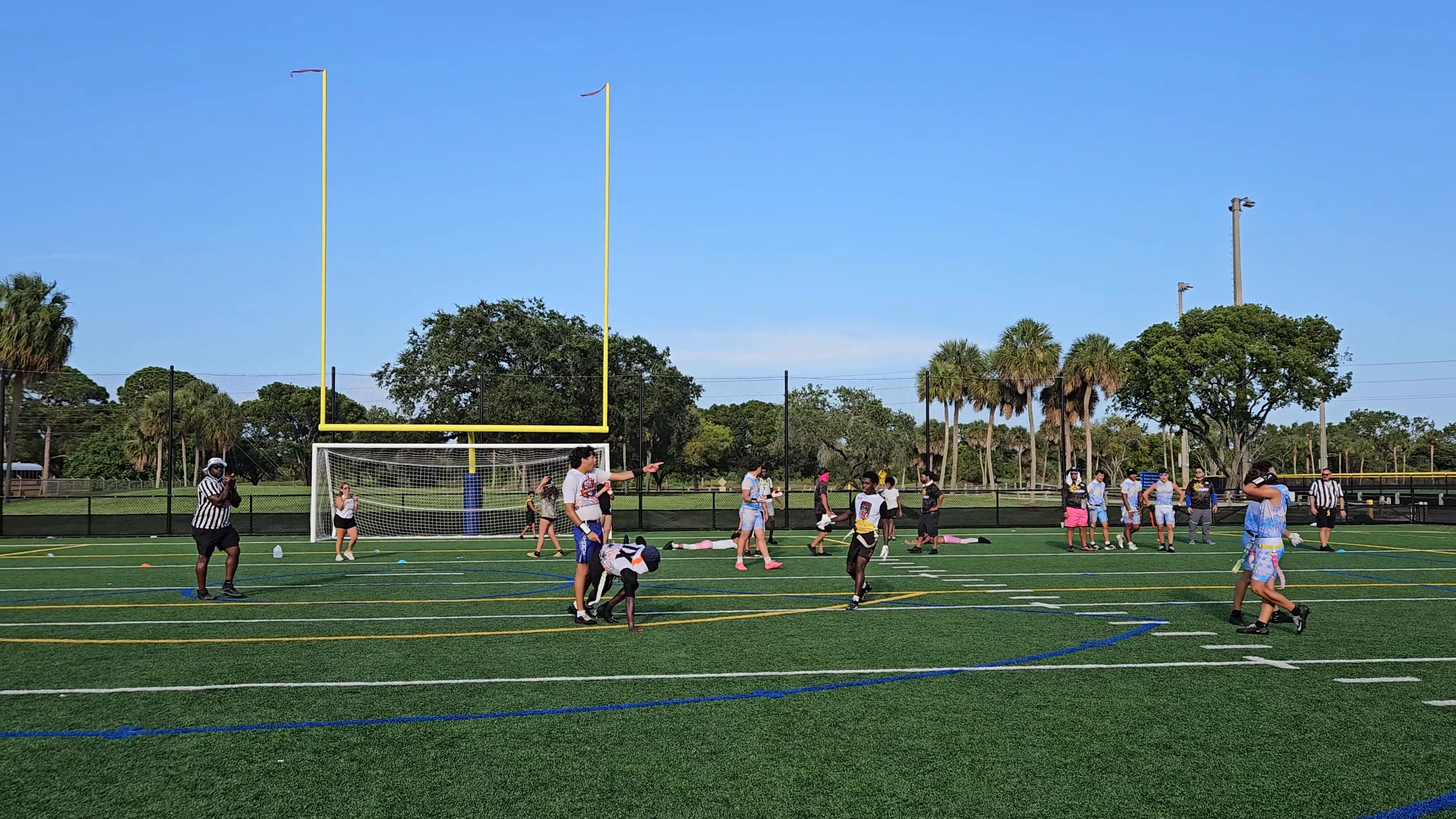 MIA FLAG Interception