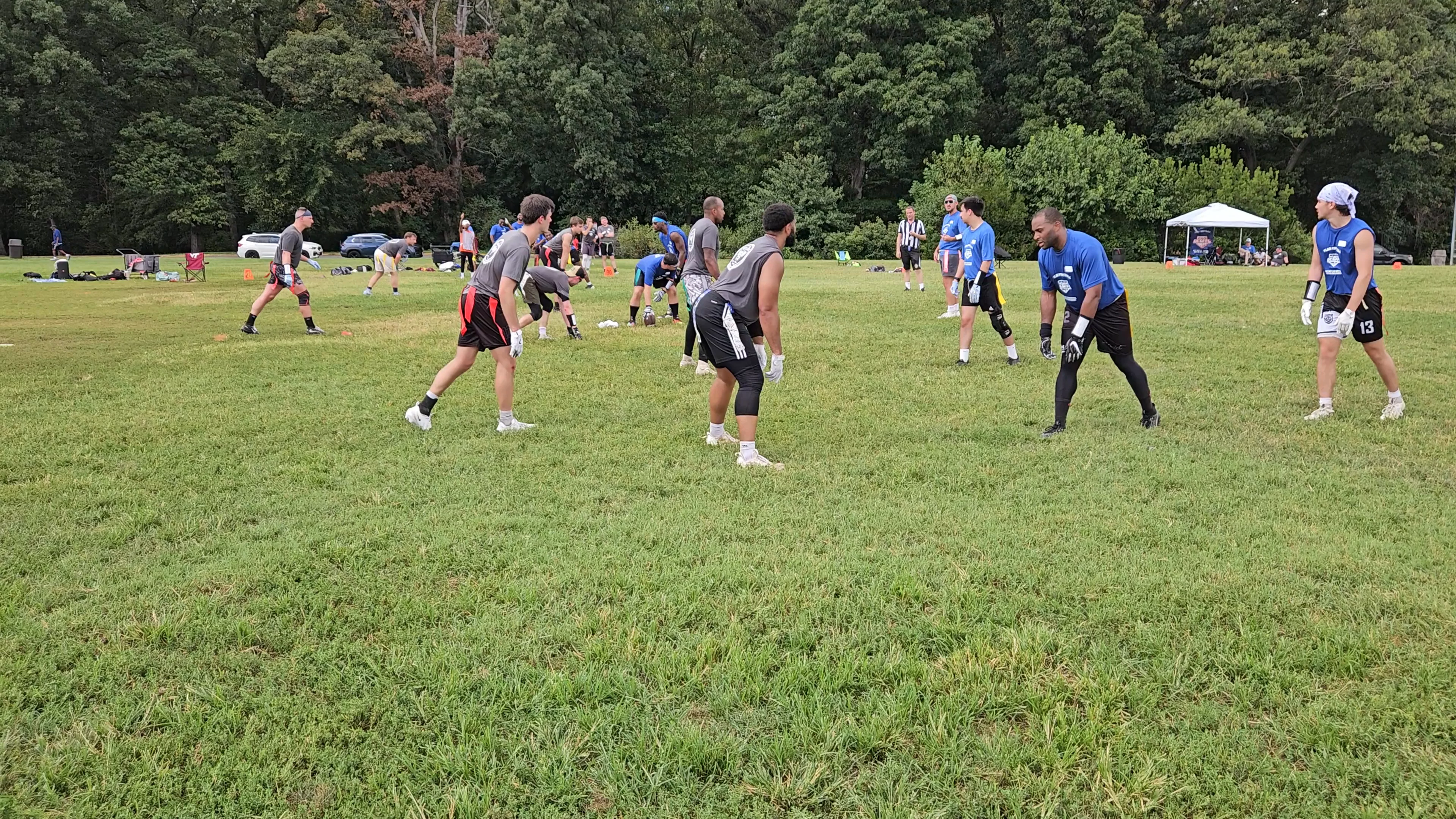 Birds of a Heather Touchdown throw