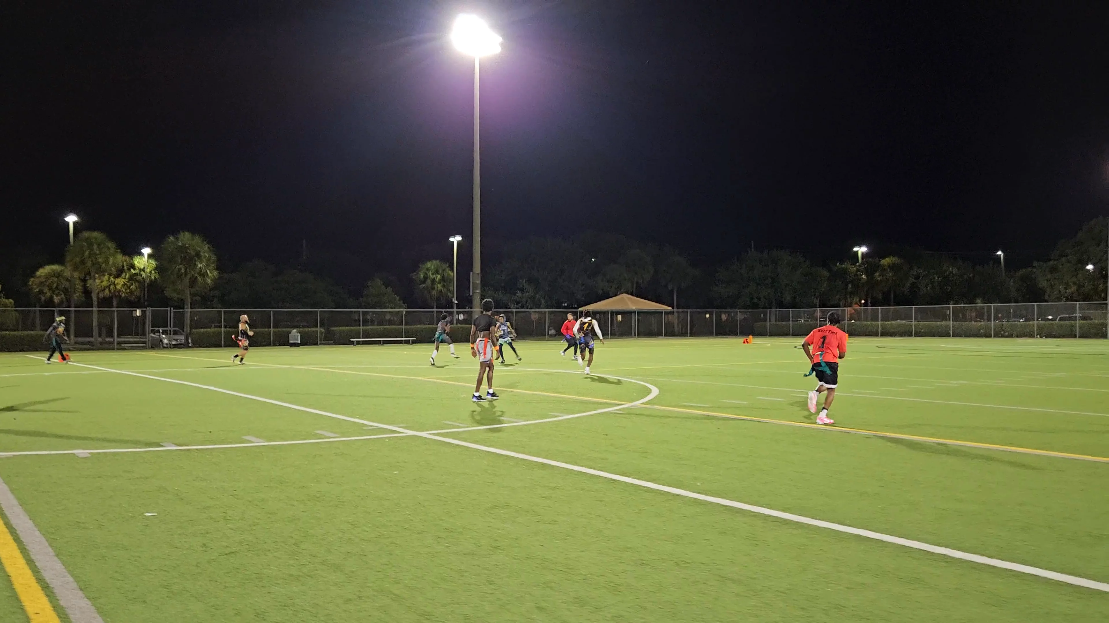 Seasoned and Dangerous Touchdown throw