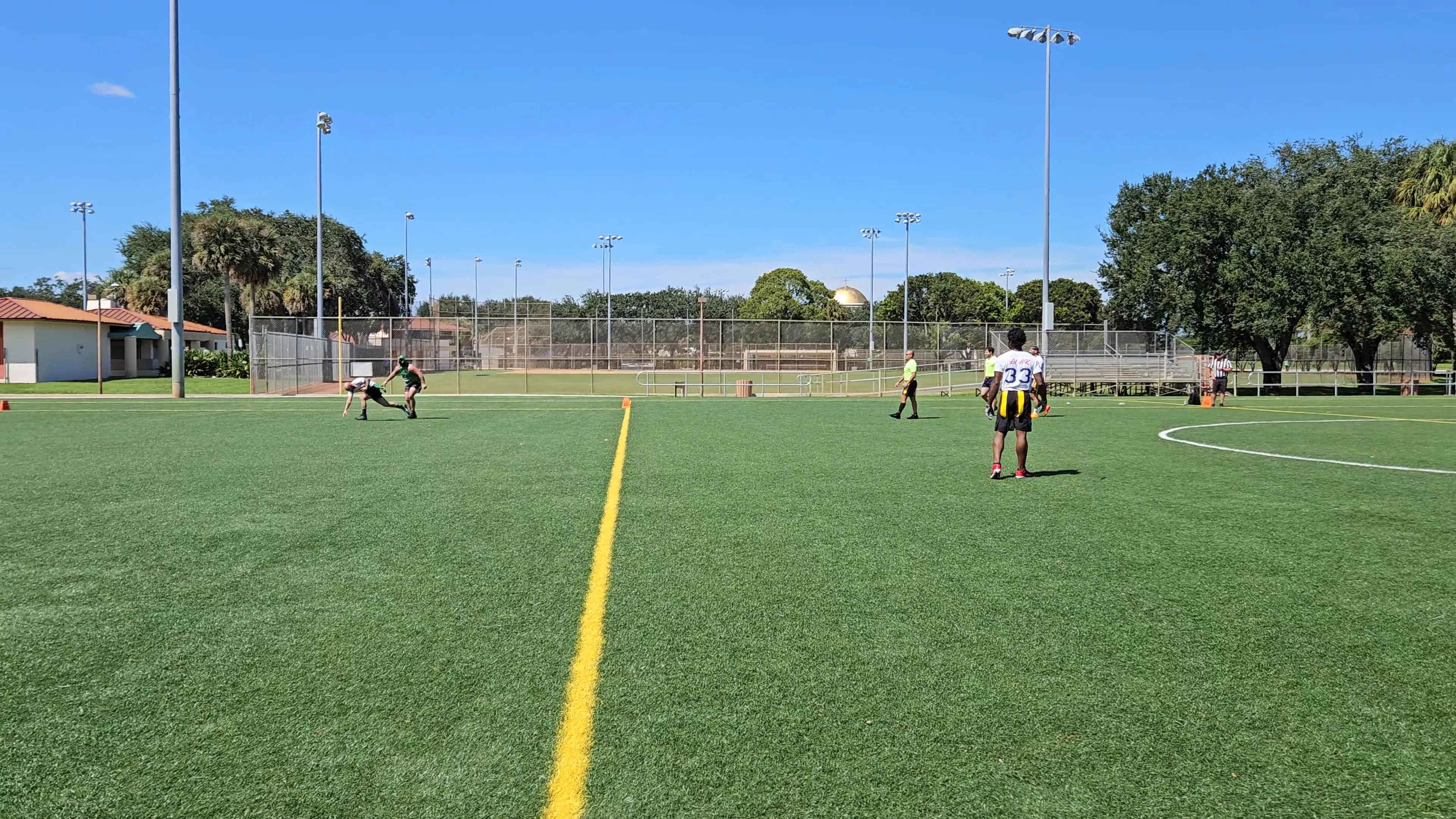 Papa's Old Dogs Touchdown throw