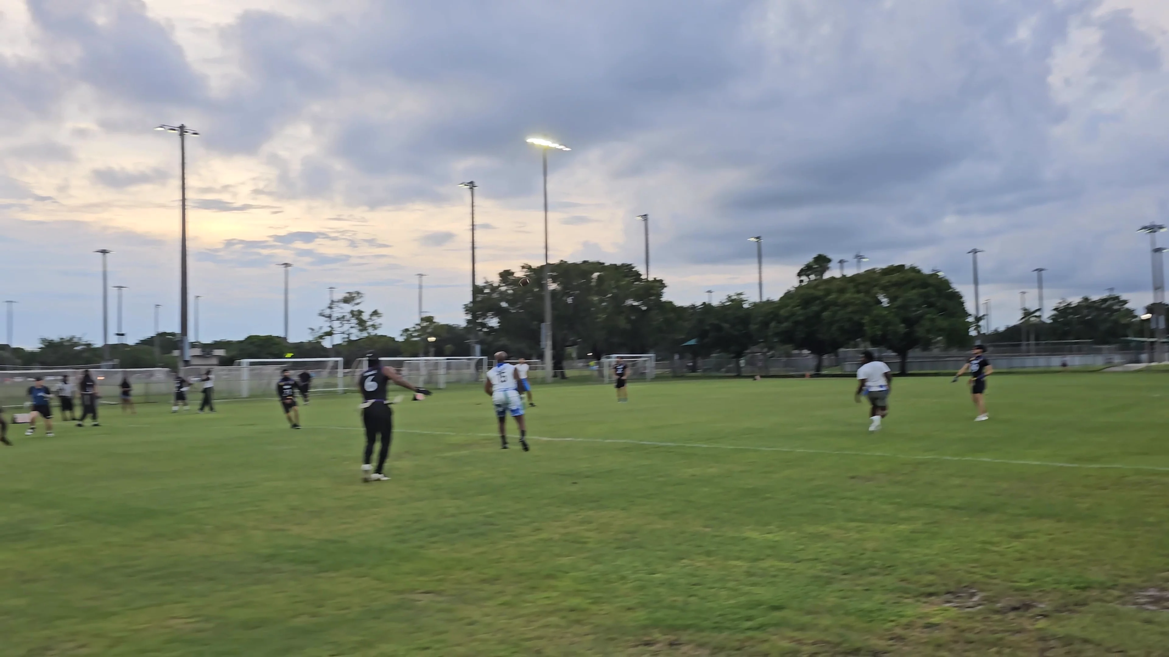 DX Throw for 1st down