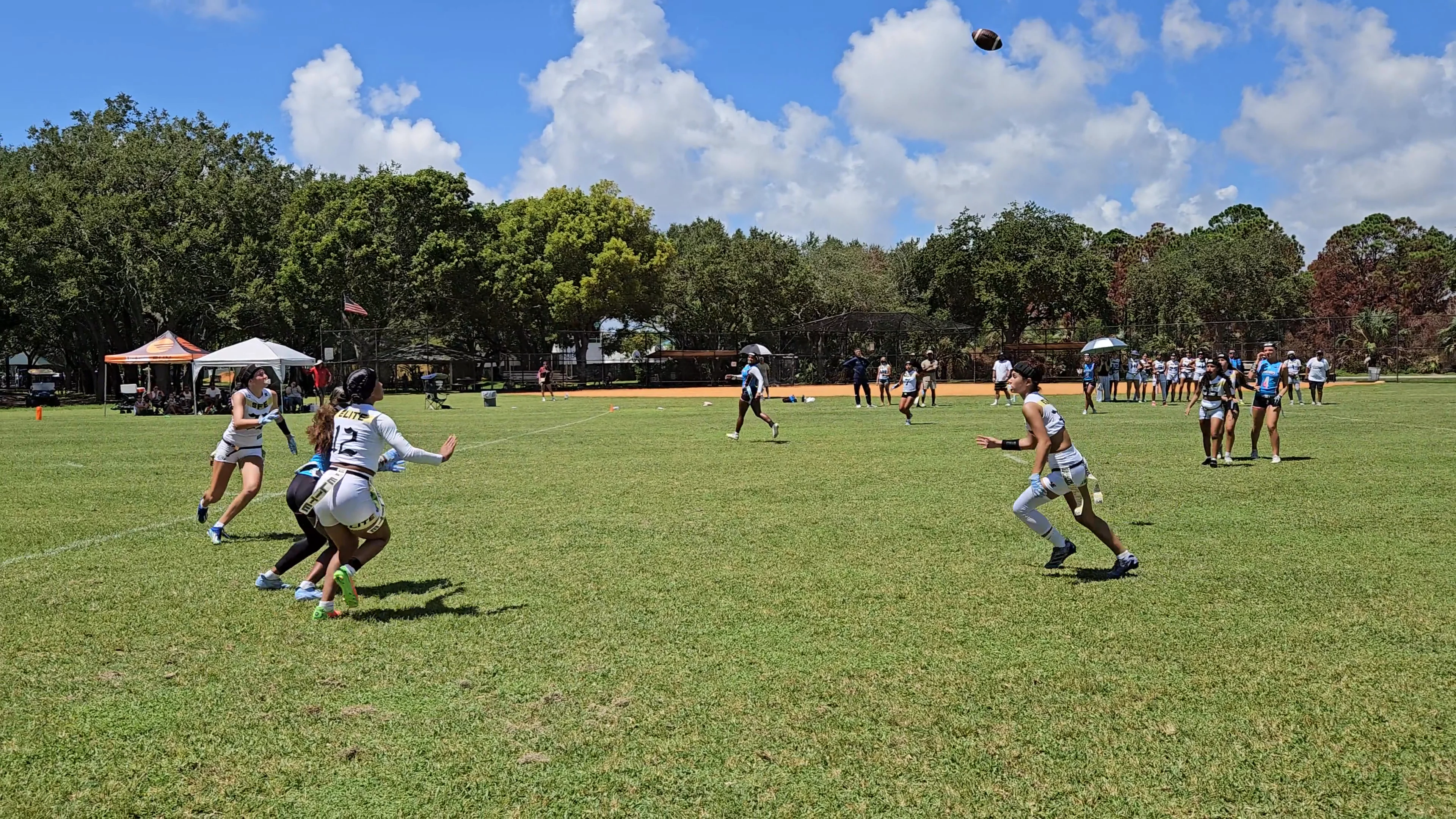 SFE Interception