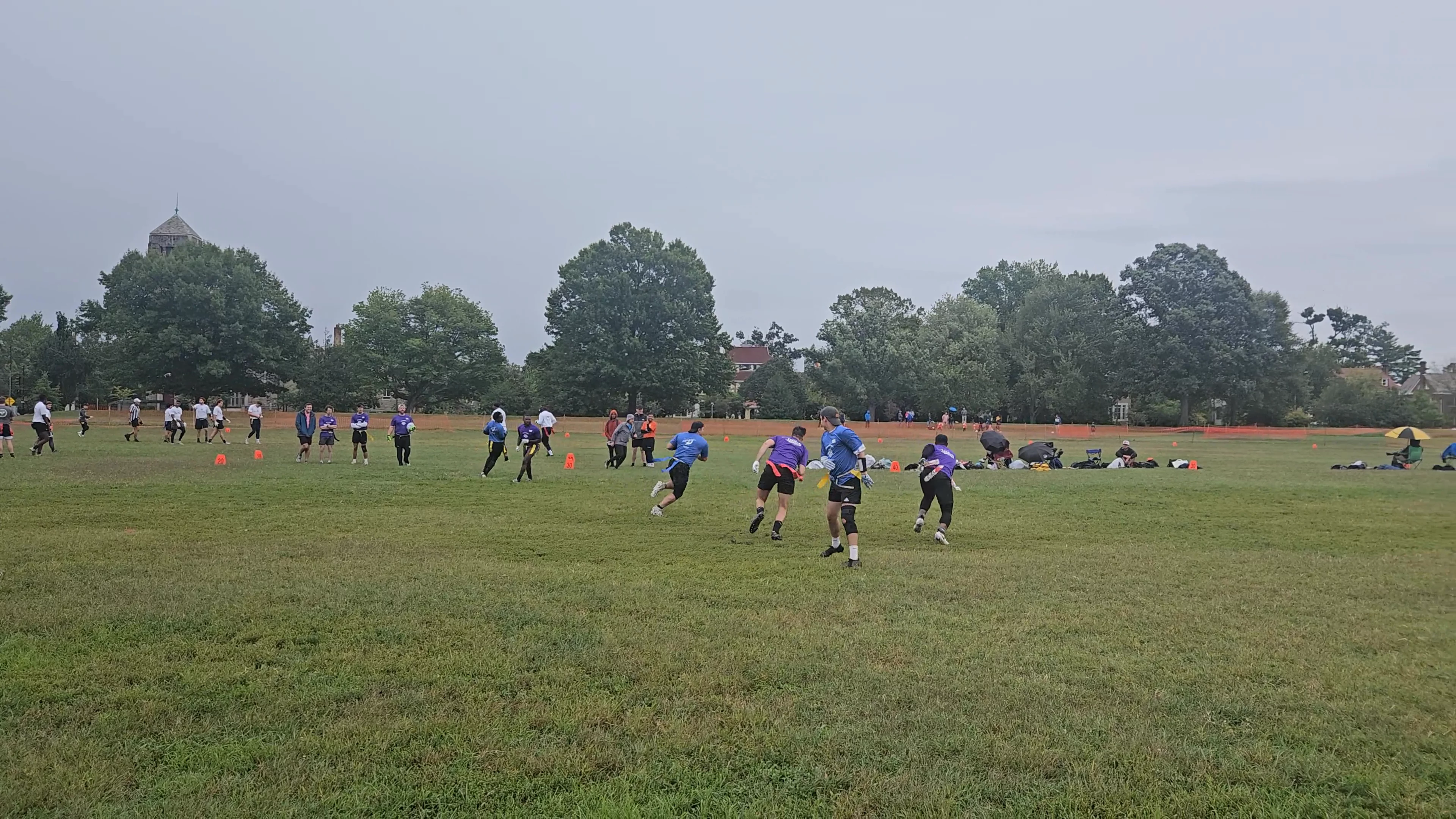 Birds of a Heather Touchdown throw