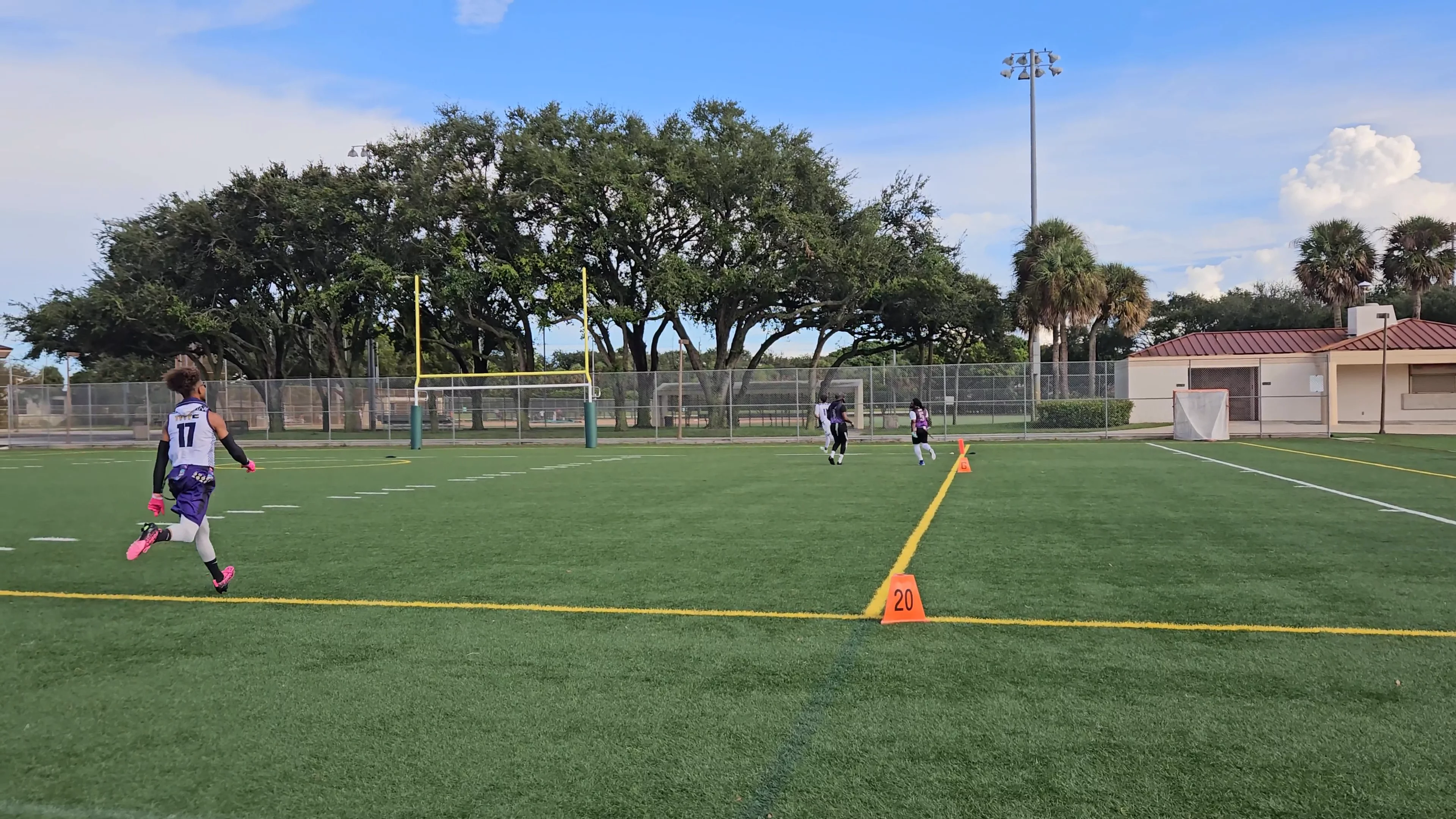 DX Touchdown throw