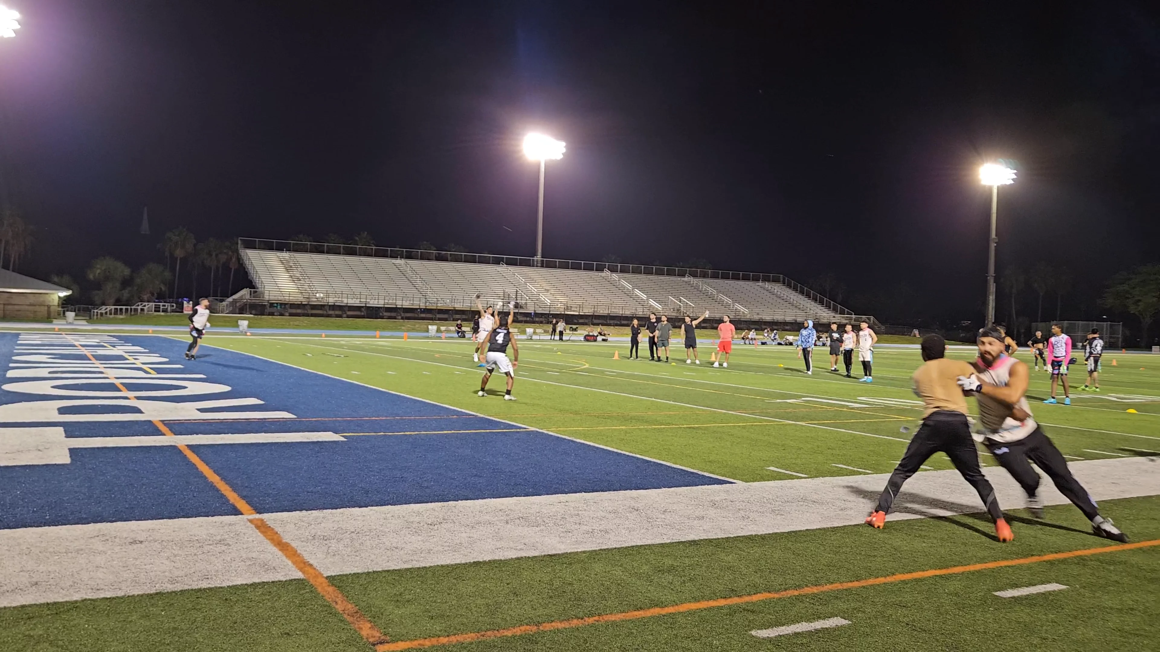Grownups Incomplete pass