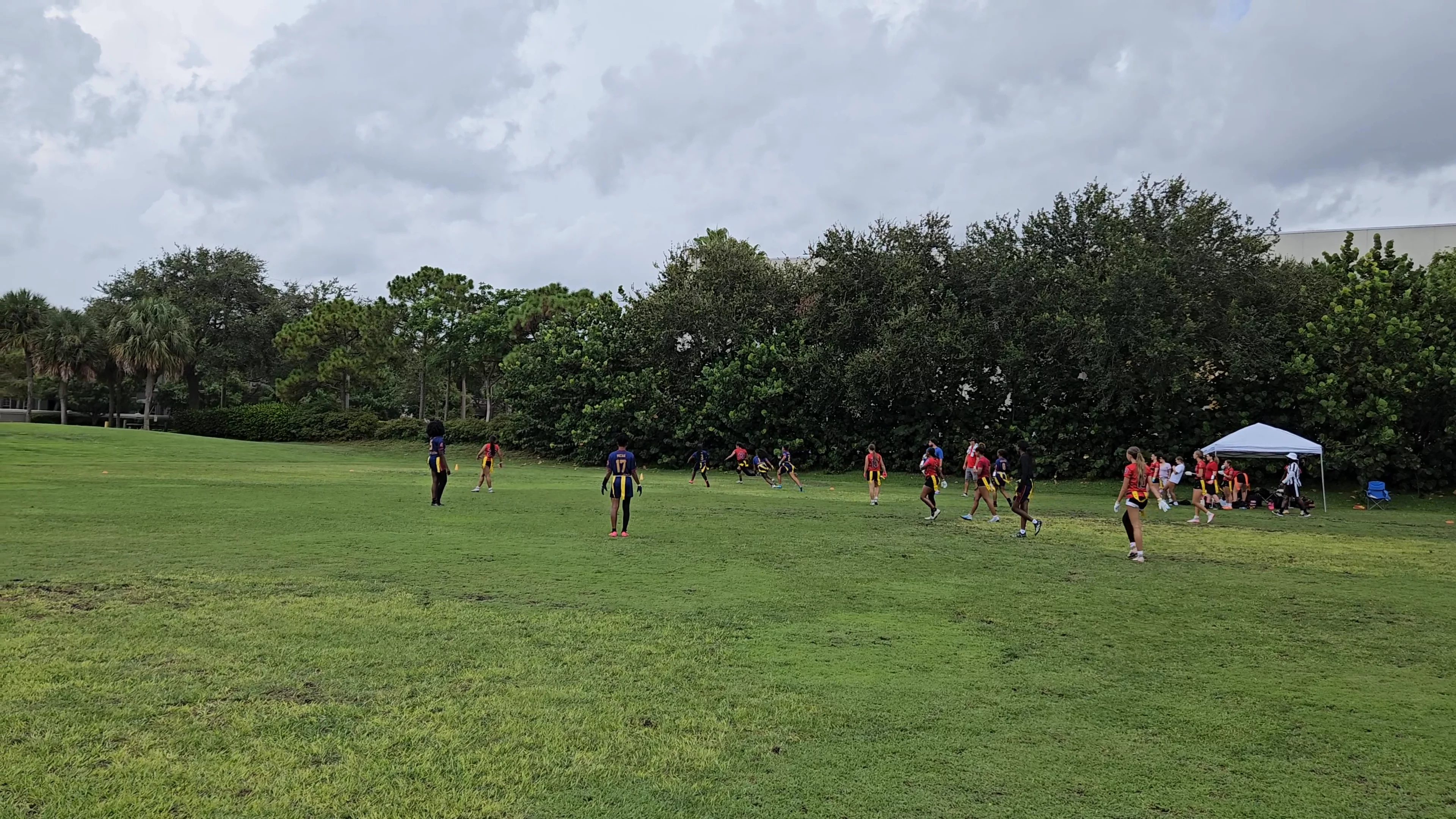 Dragons Elite 16u Pick six