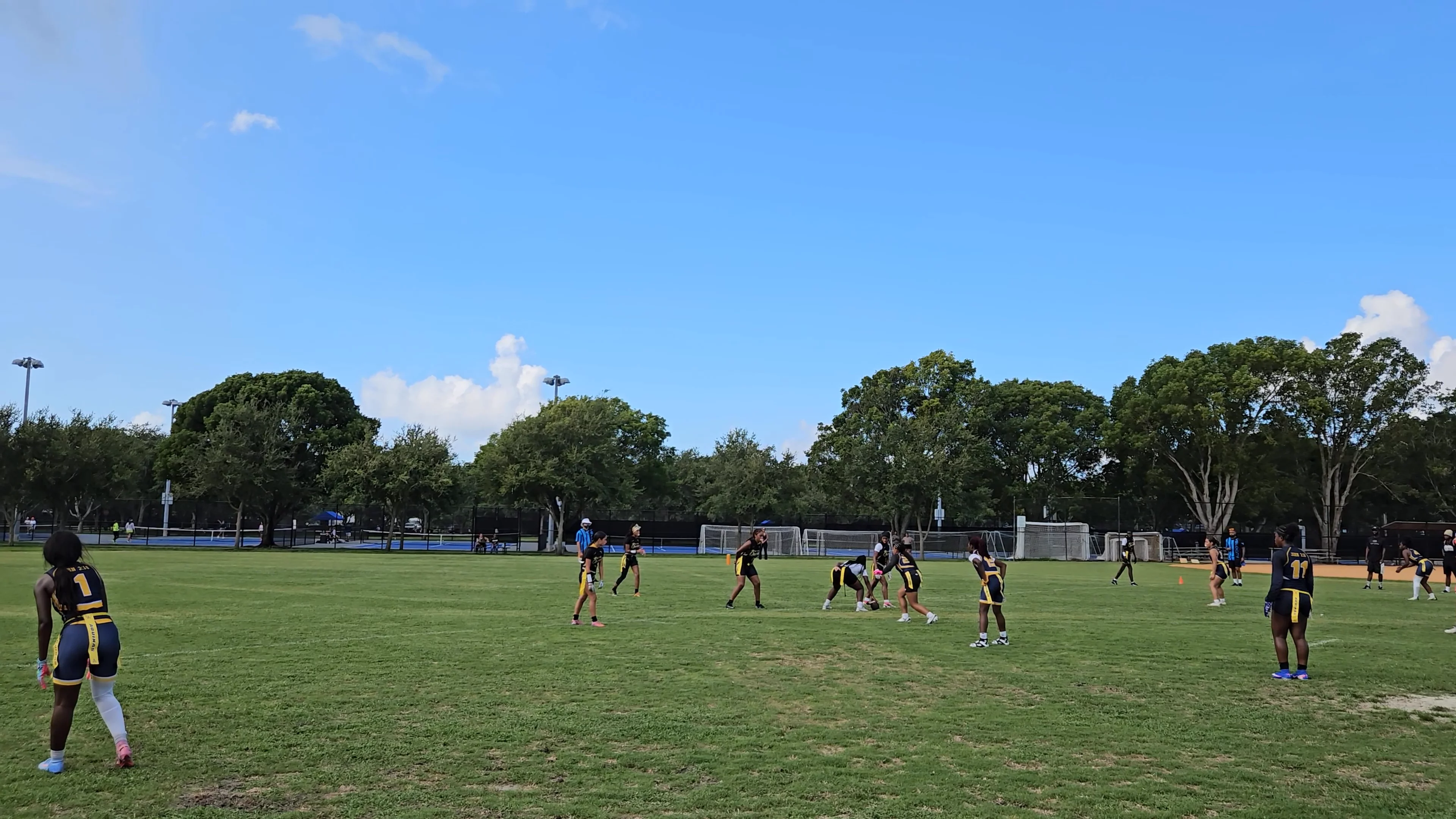 Out West Queens Incomplete pass