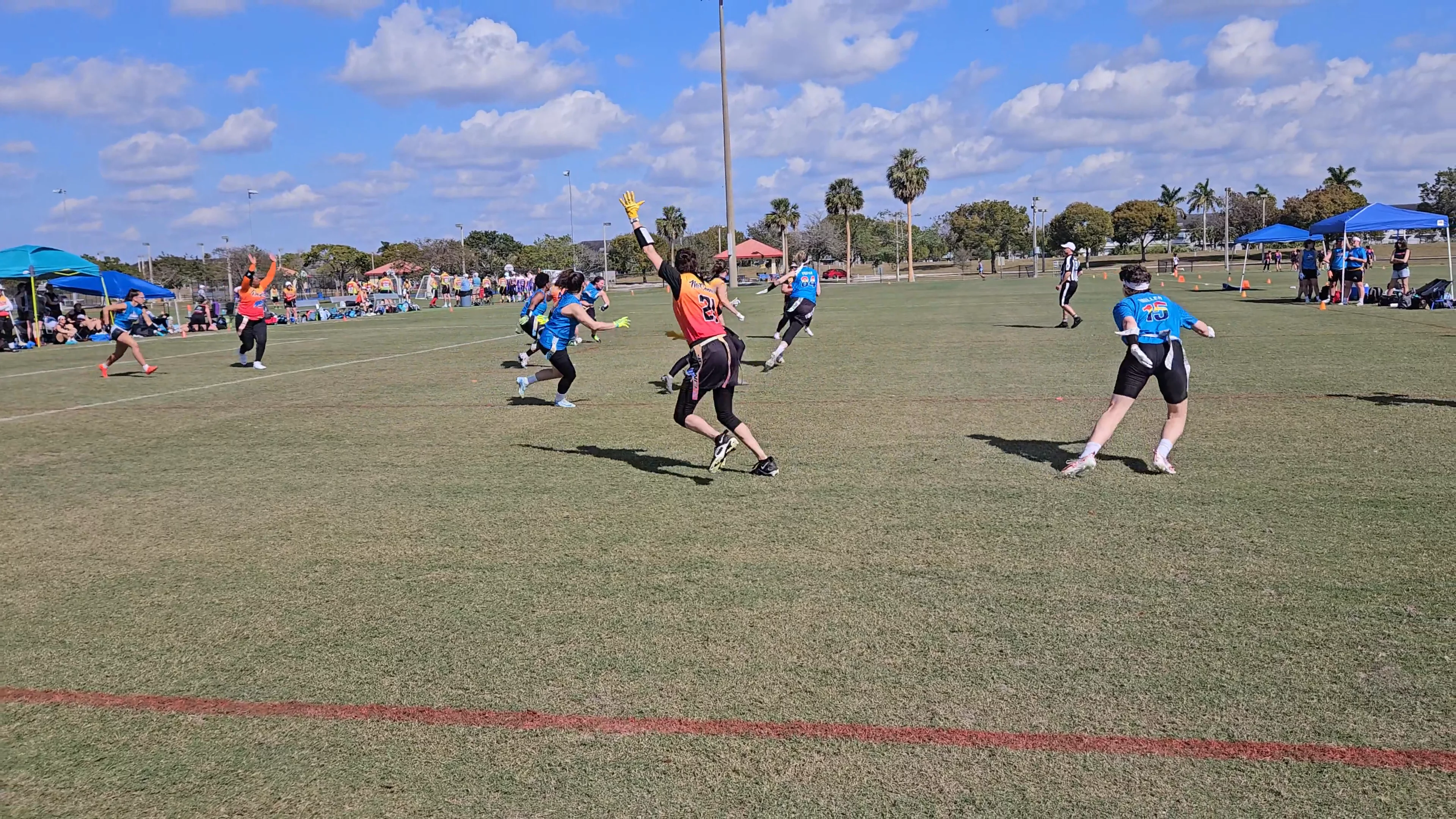 The Dolphins Touchdown throw