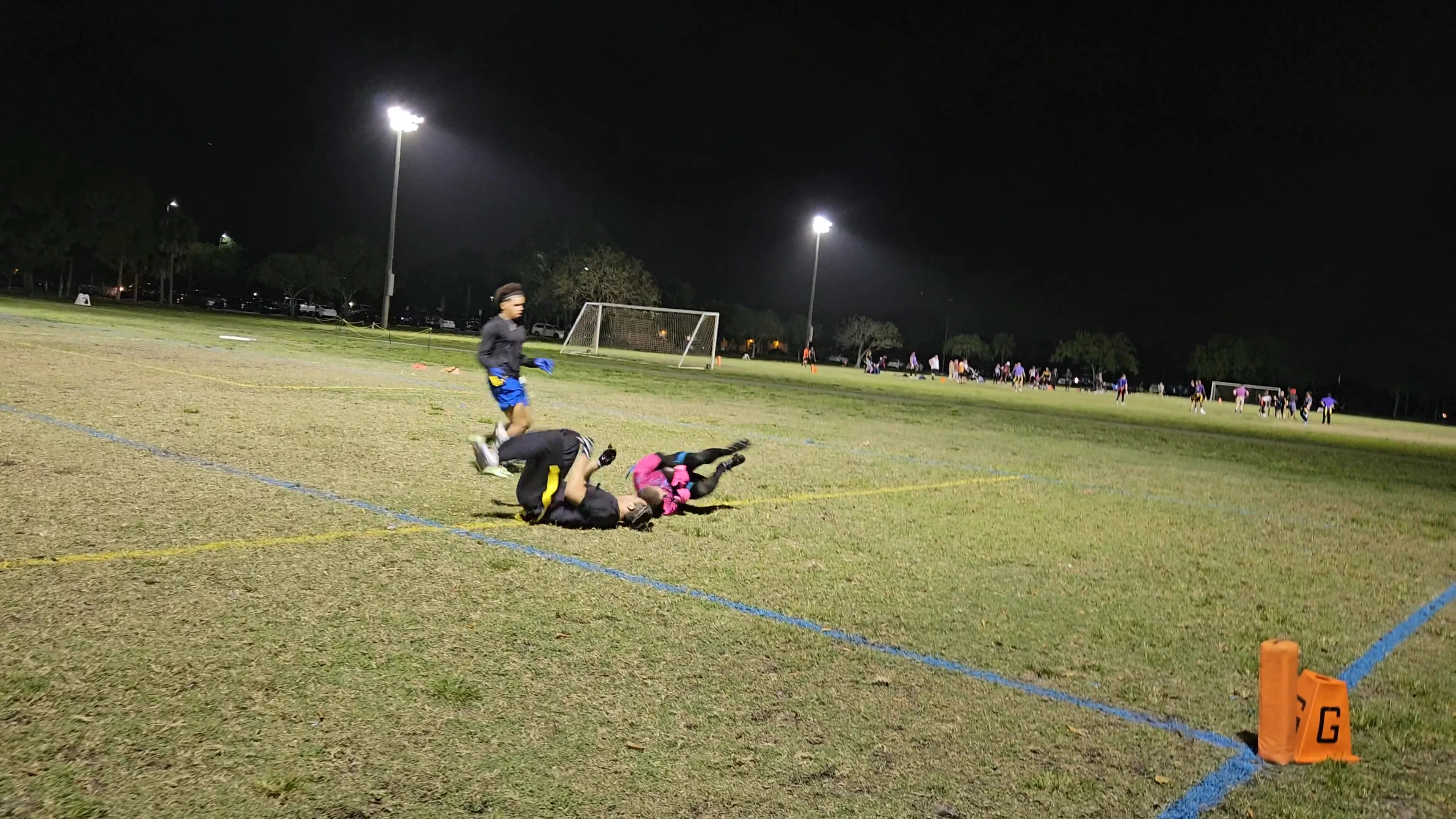Vice City Vipers Touchdown throw
