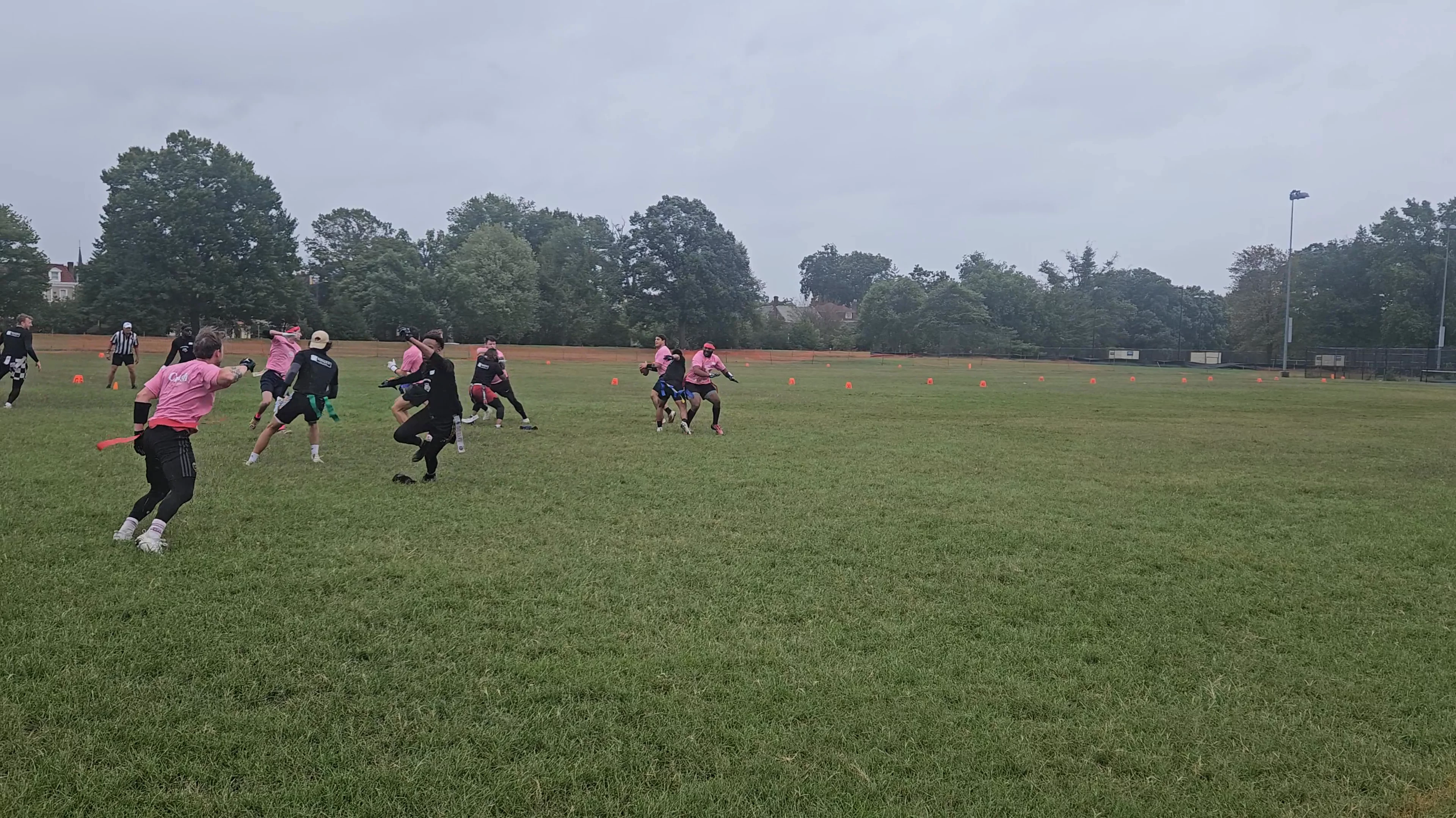 PrEPpa Pigs Touchdown throw