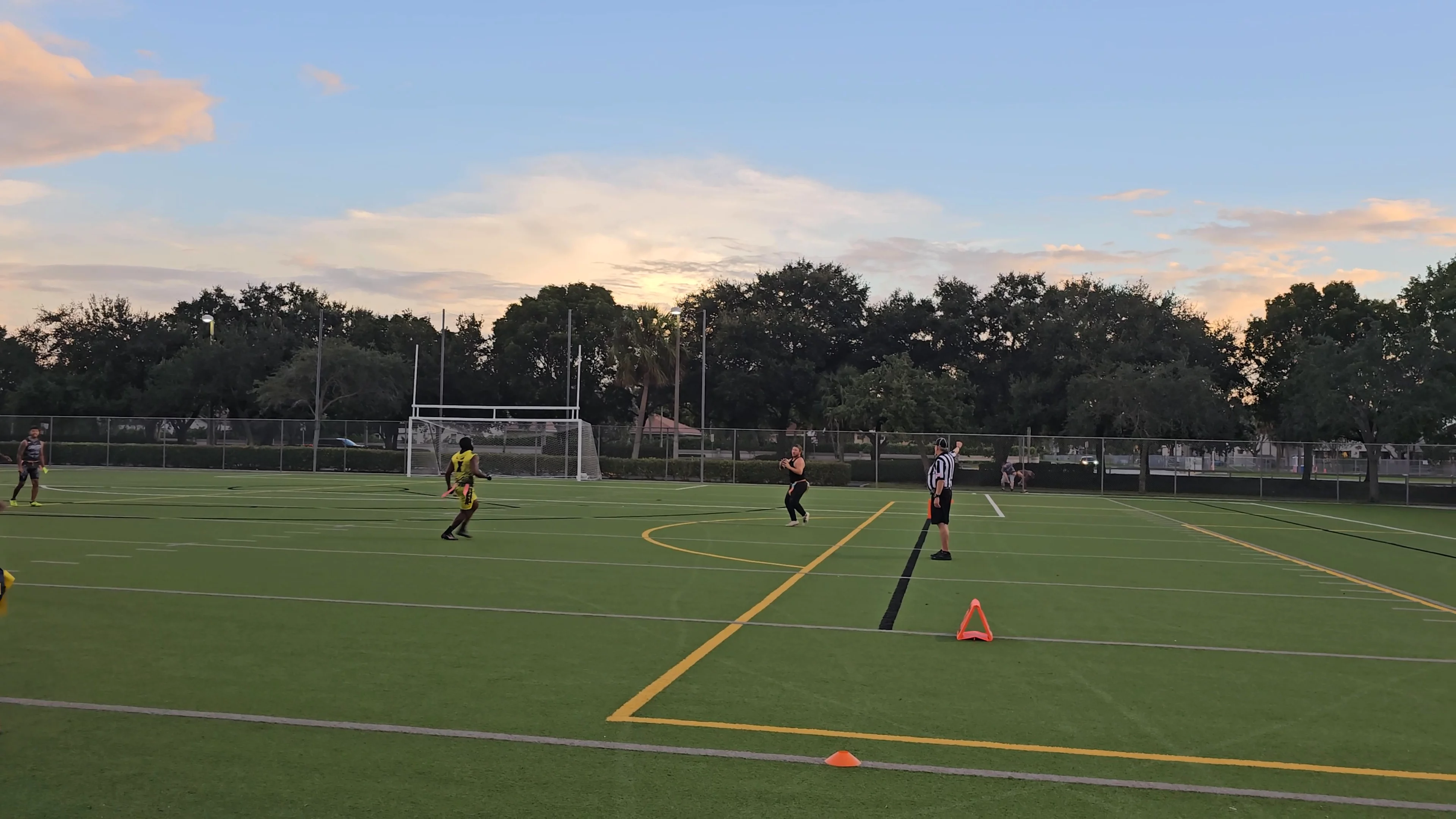 Code954 Incomplete pass