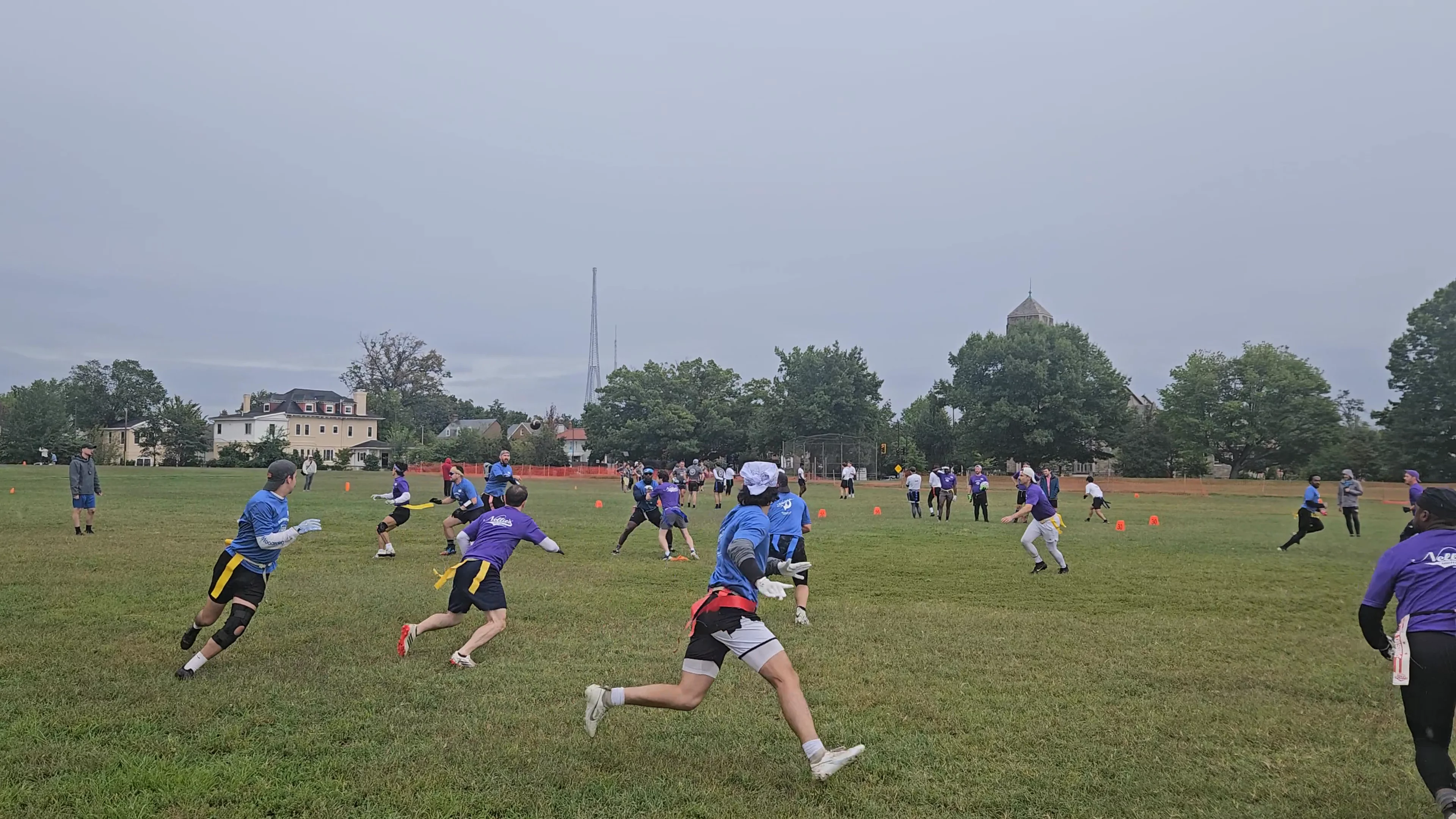 Birds of a Heather Throw for 1st down