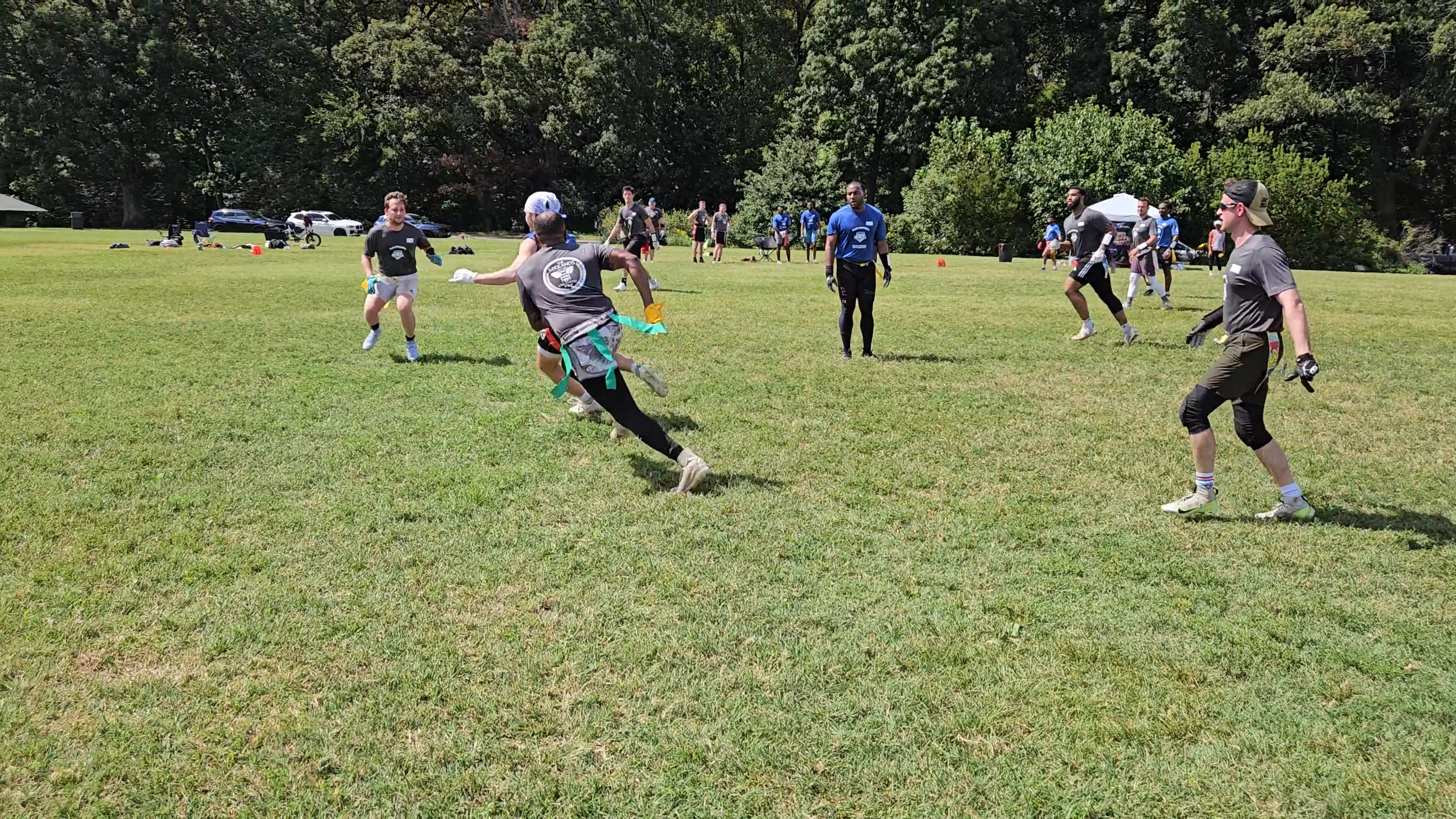 Birds of a Heather Touchdown throw