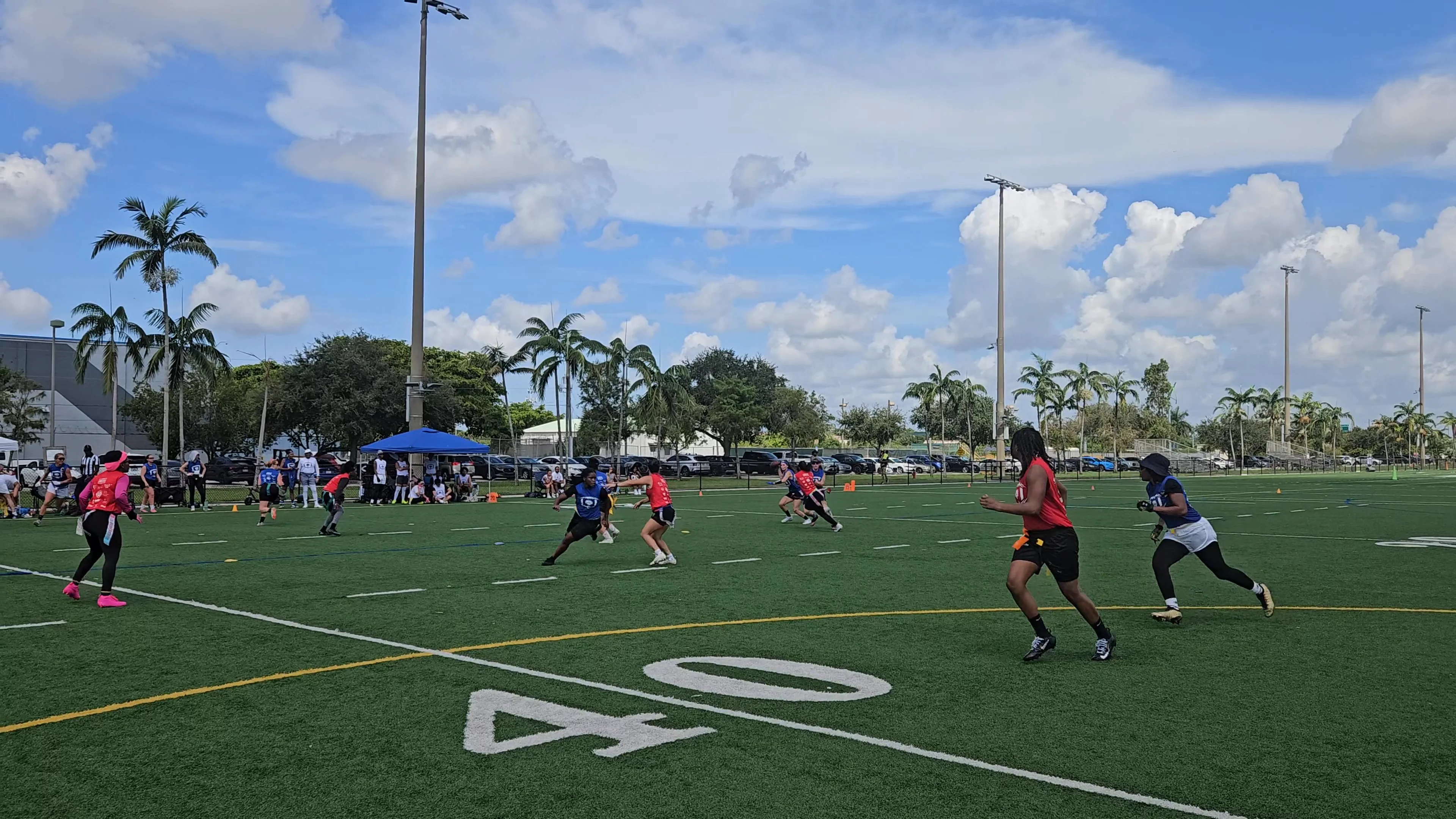 Royal Blue Gays Throw for 1st down