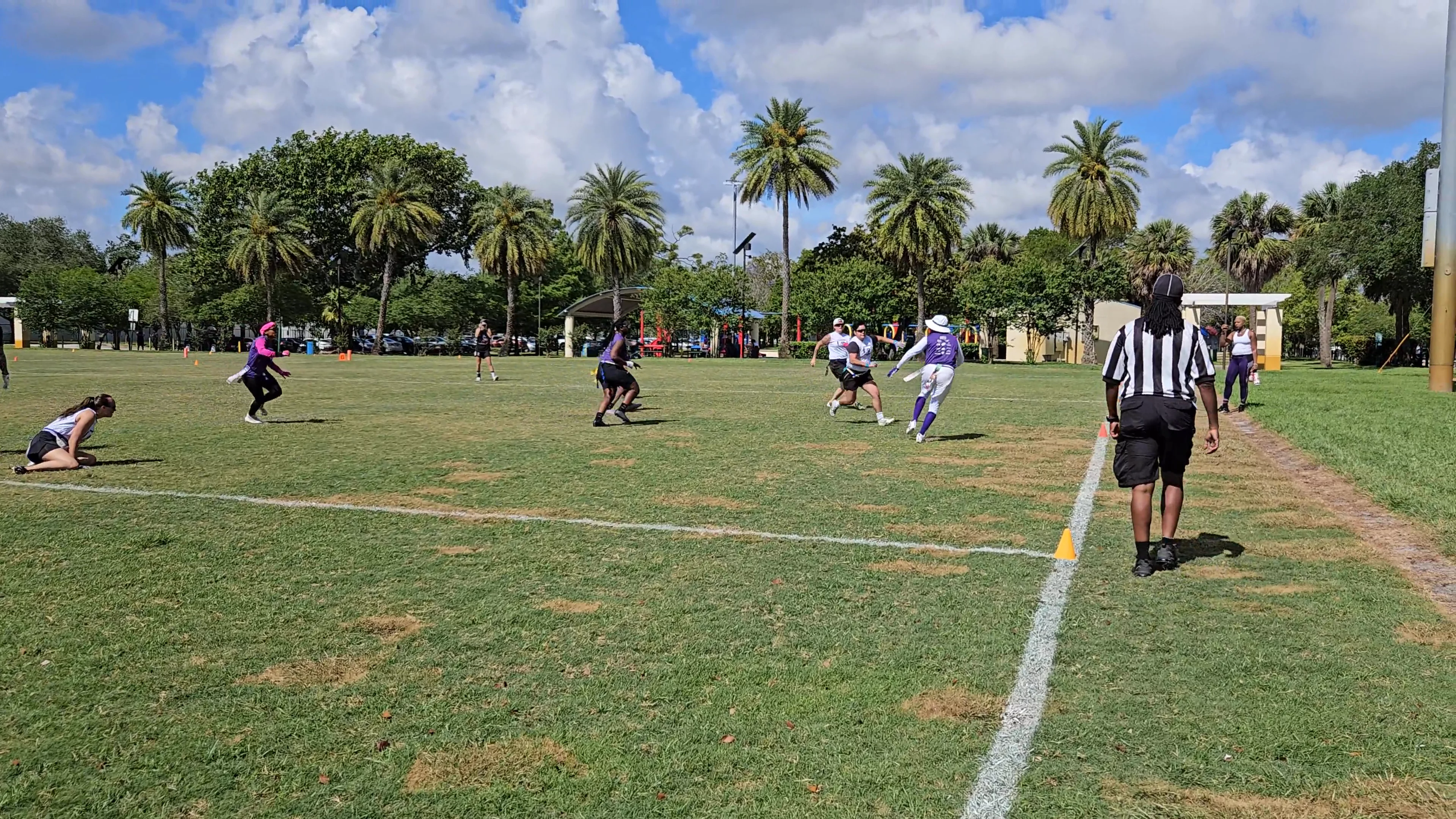 Purple Reign Interception