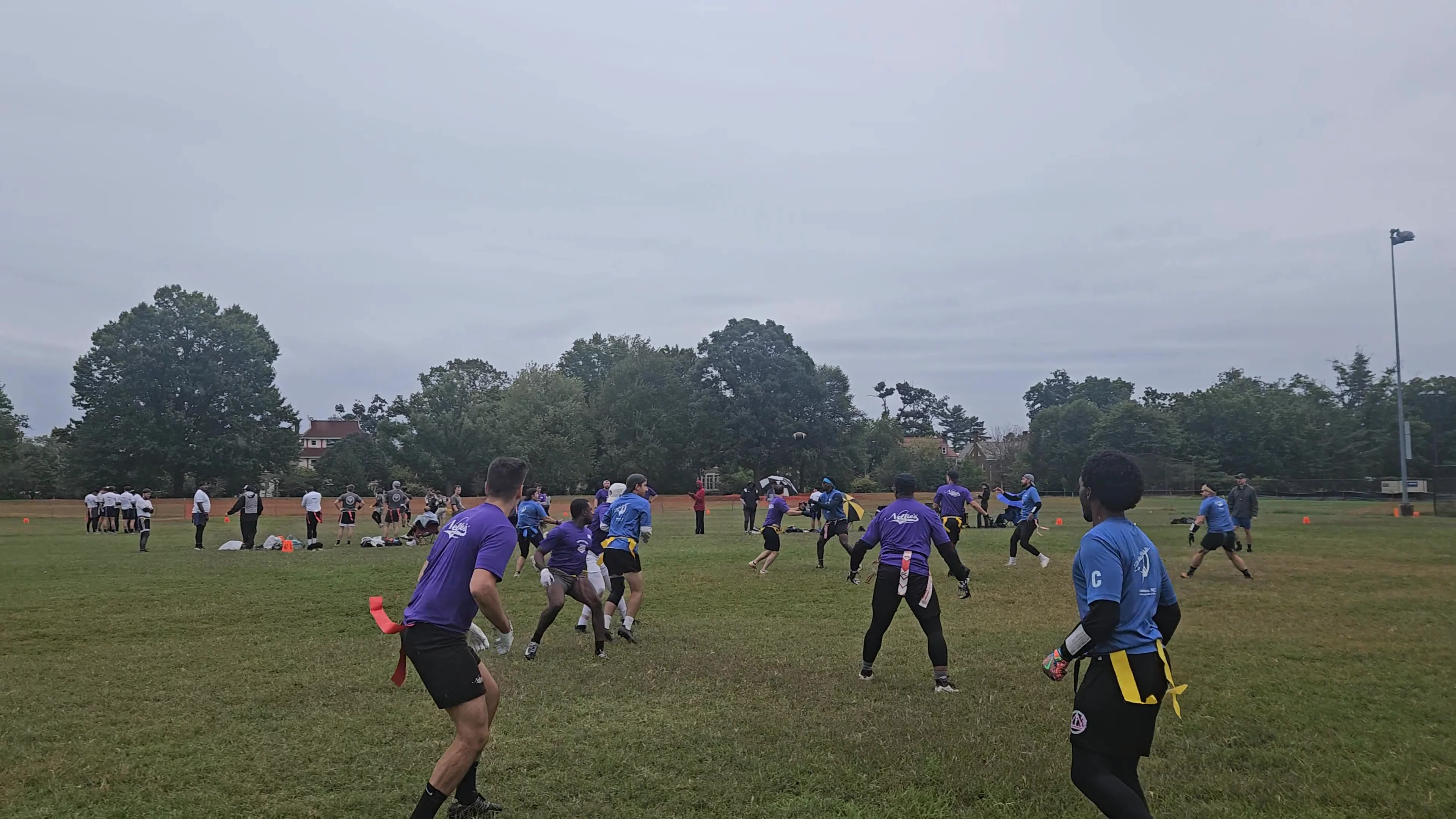 Birds of a Heather Throw for 1st down