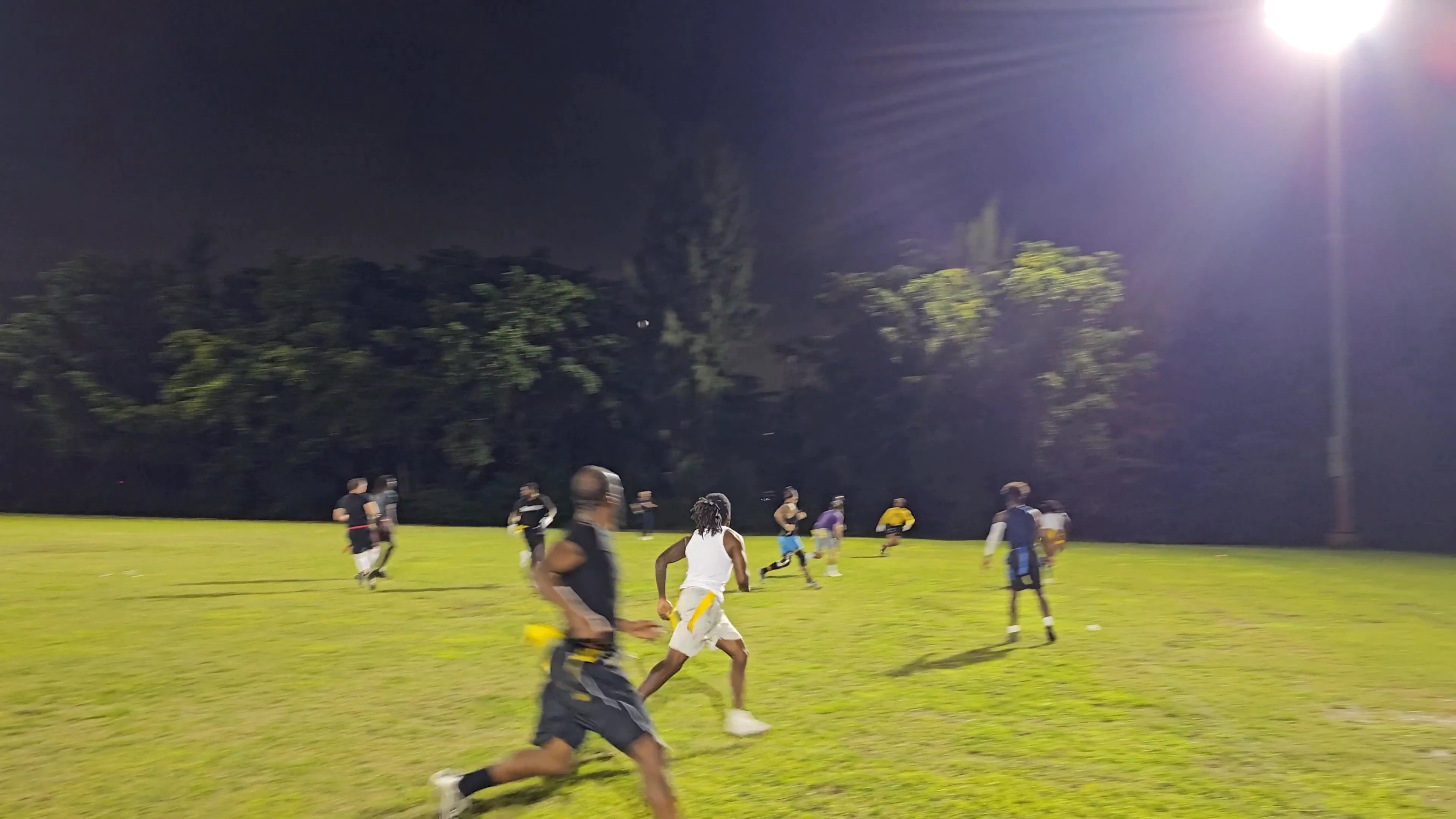 Fly Gang Interception