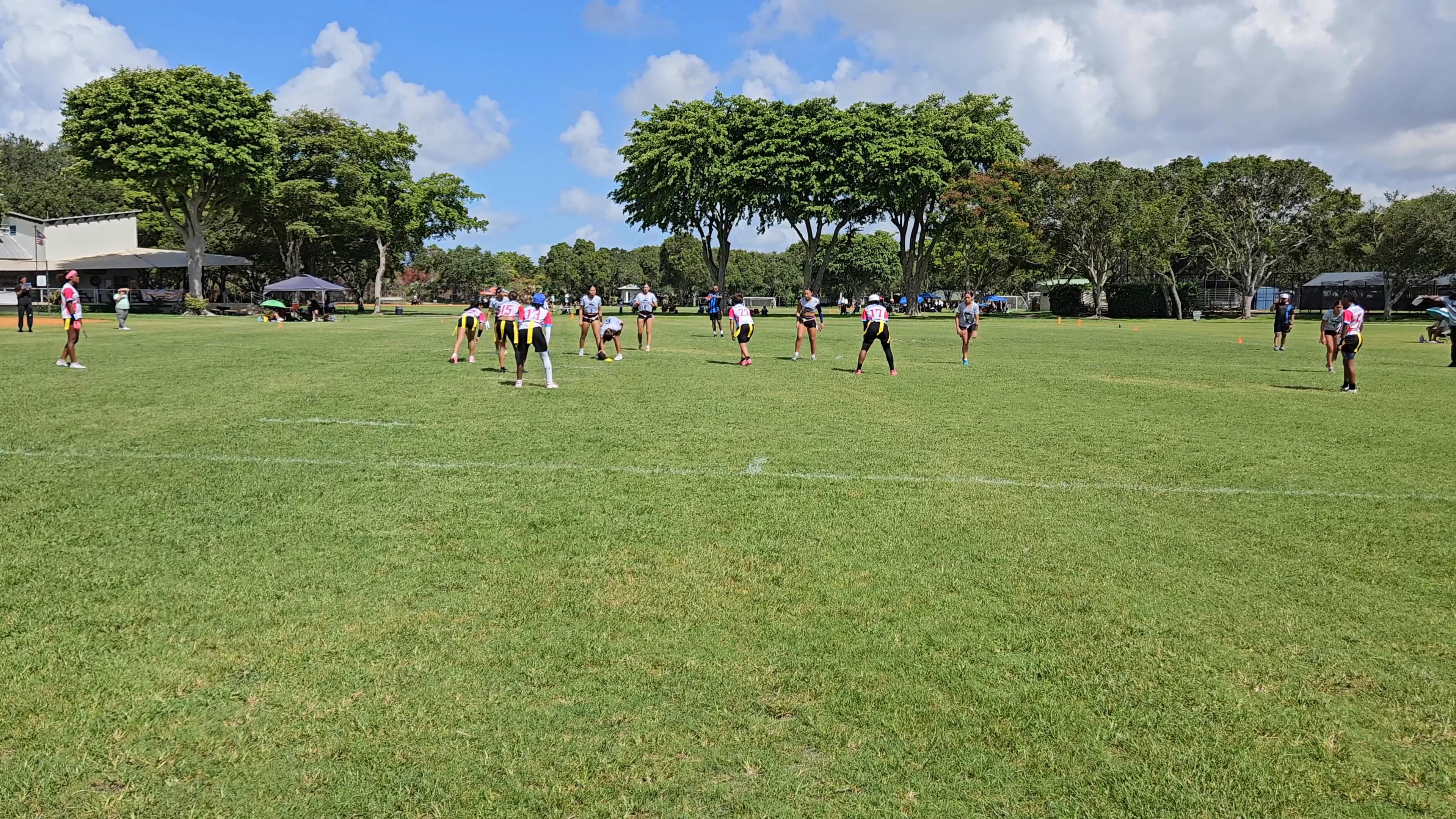 Penny Loafers Incomplete pass